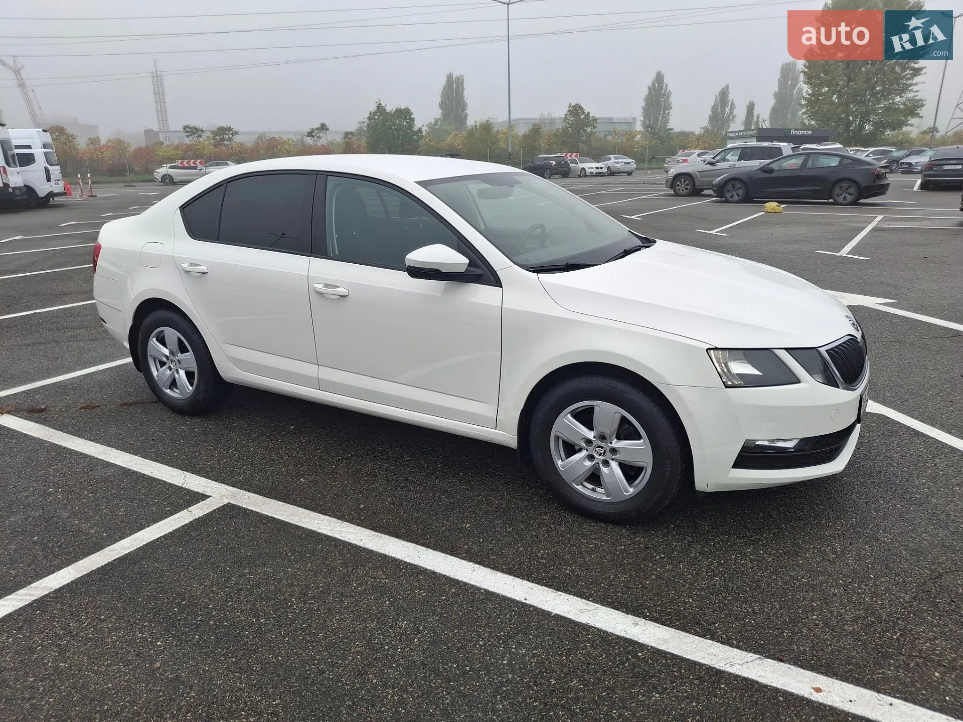 Skoda Octavia, 2019