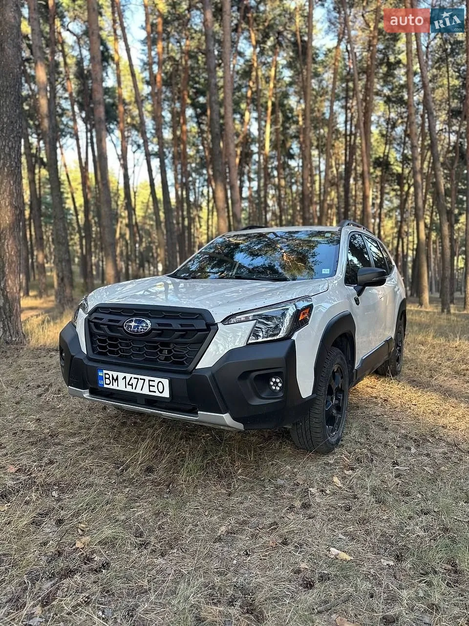 Subaru Forester, 2024