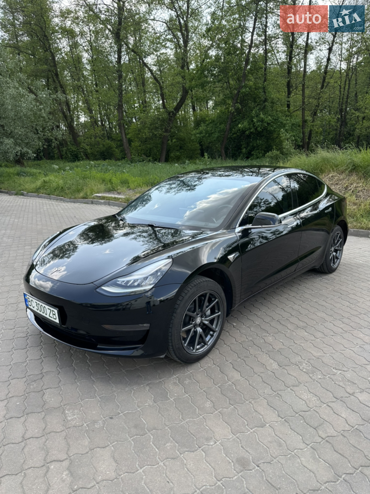 Tesla Model 3, 2019