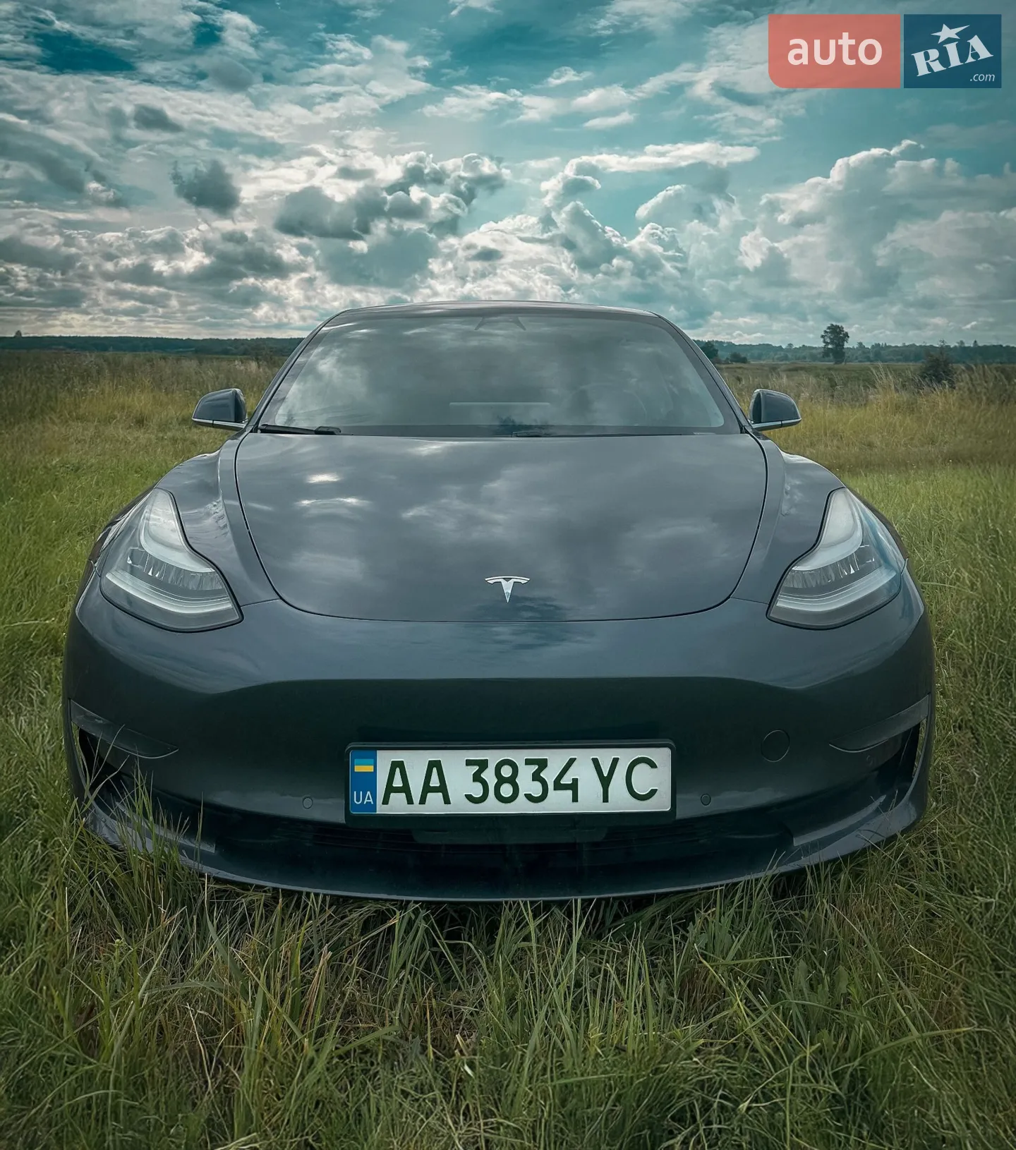 Tesla Model 3, 2019