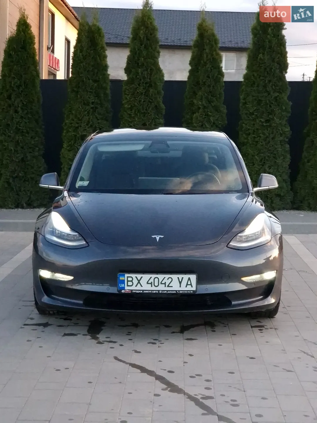 Tesla Model 3, 2019
