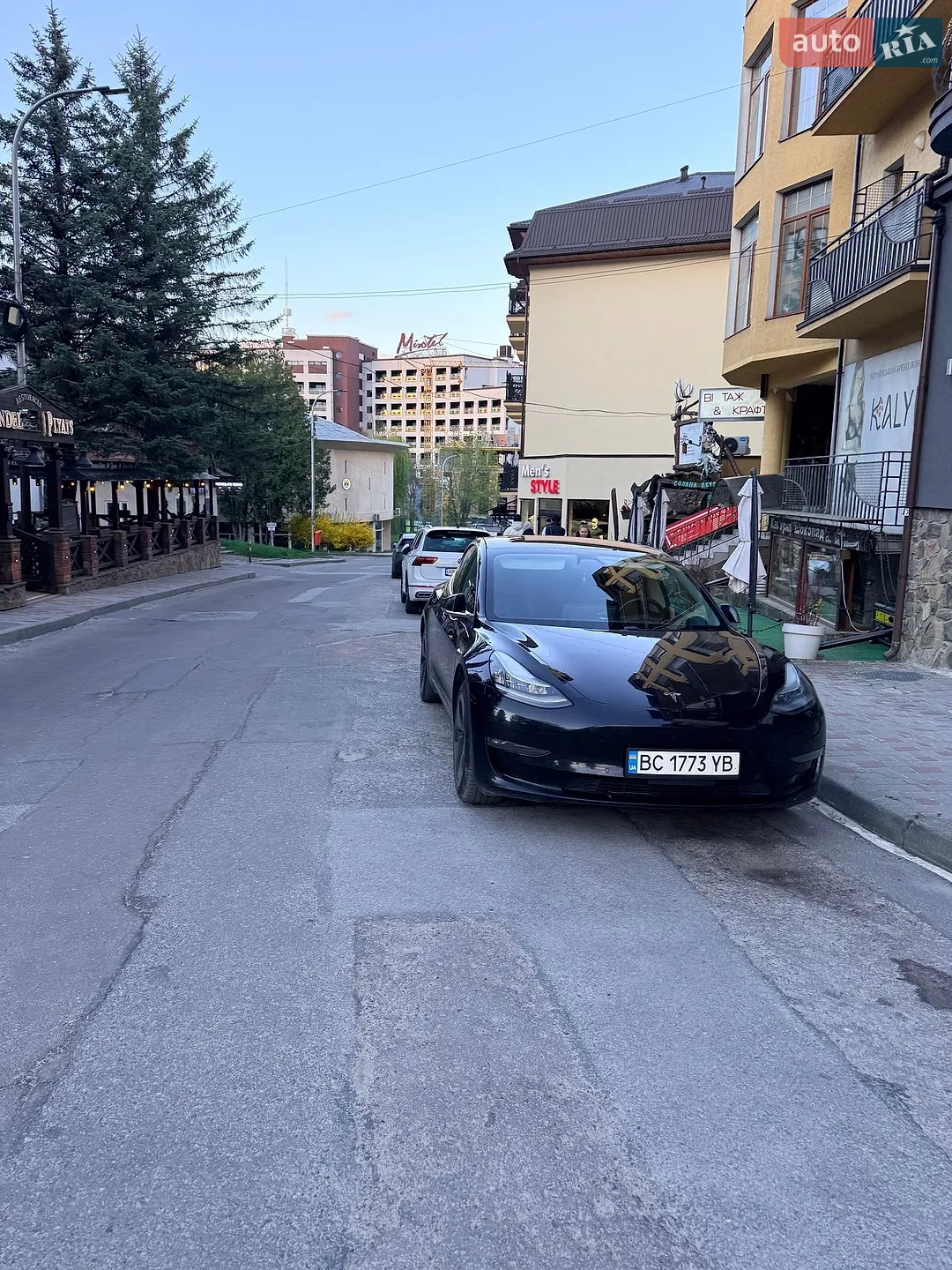 Tesla Model 3, 2019