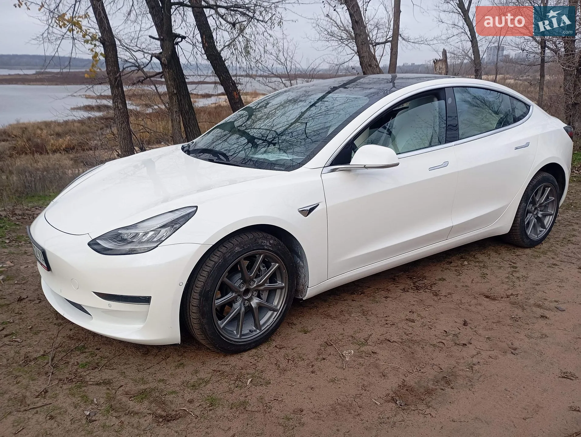 Tesla Model 3, 2020