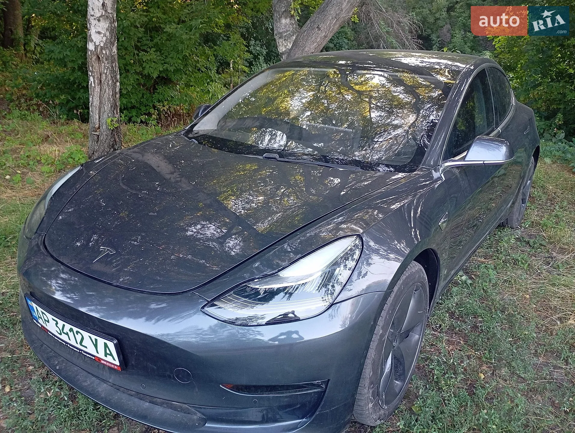 Tesla Model 3, 2019