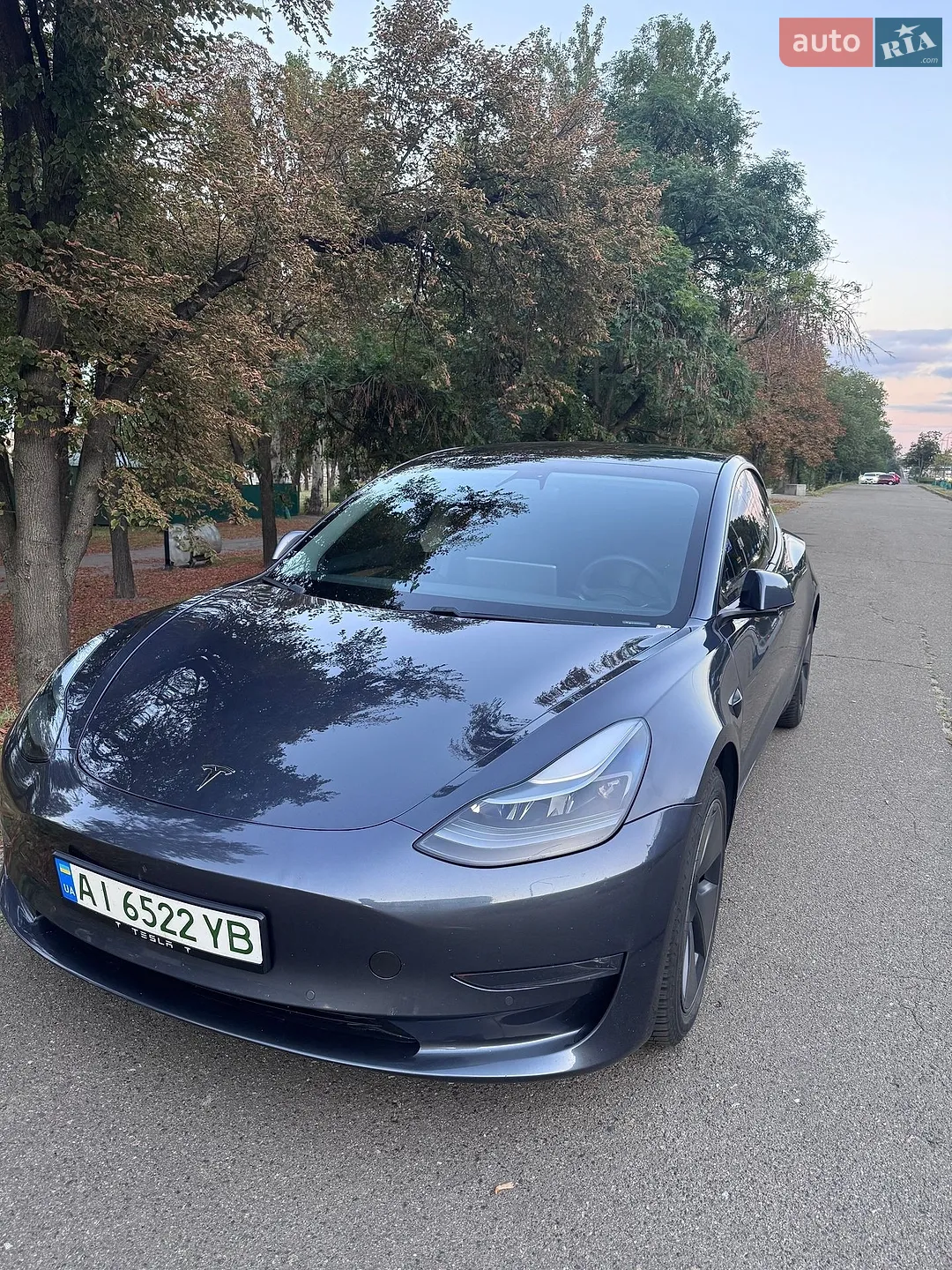 Tesla Model 3, 2021