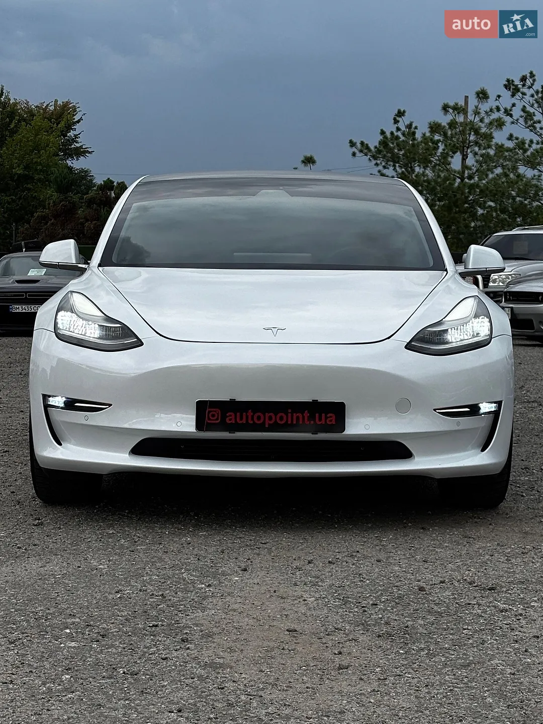Tesla Model 3, 2019