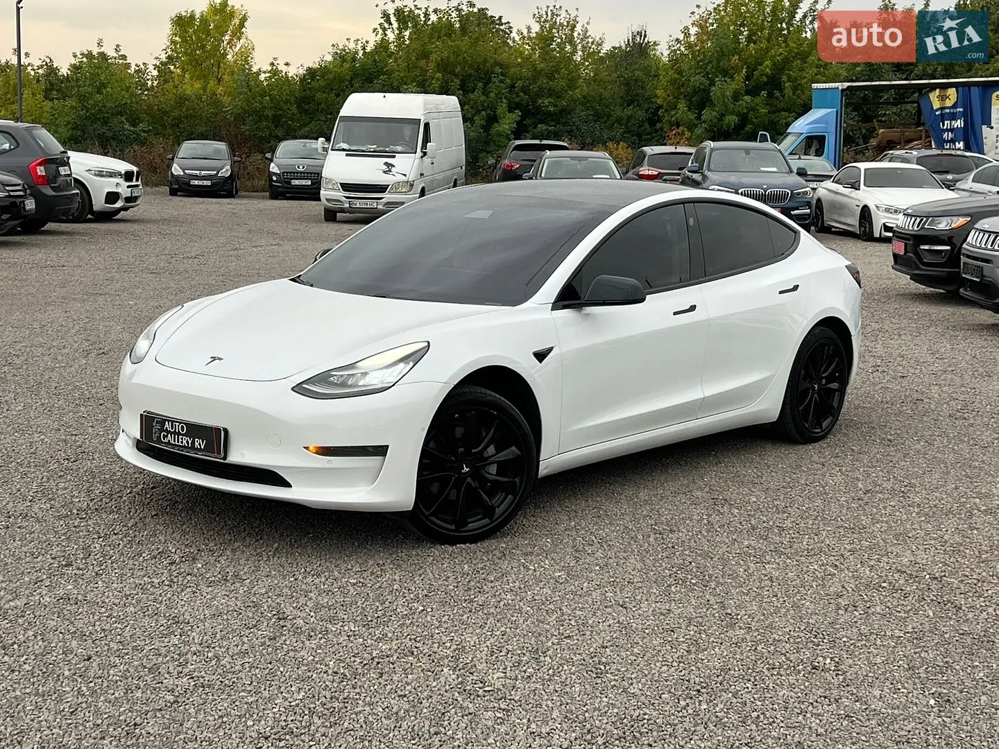 Tesla Model 3, 2019