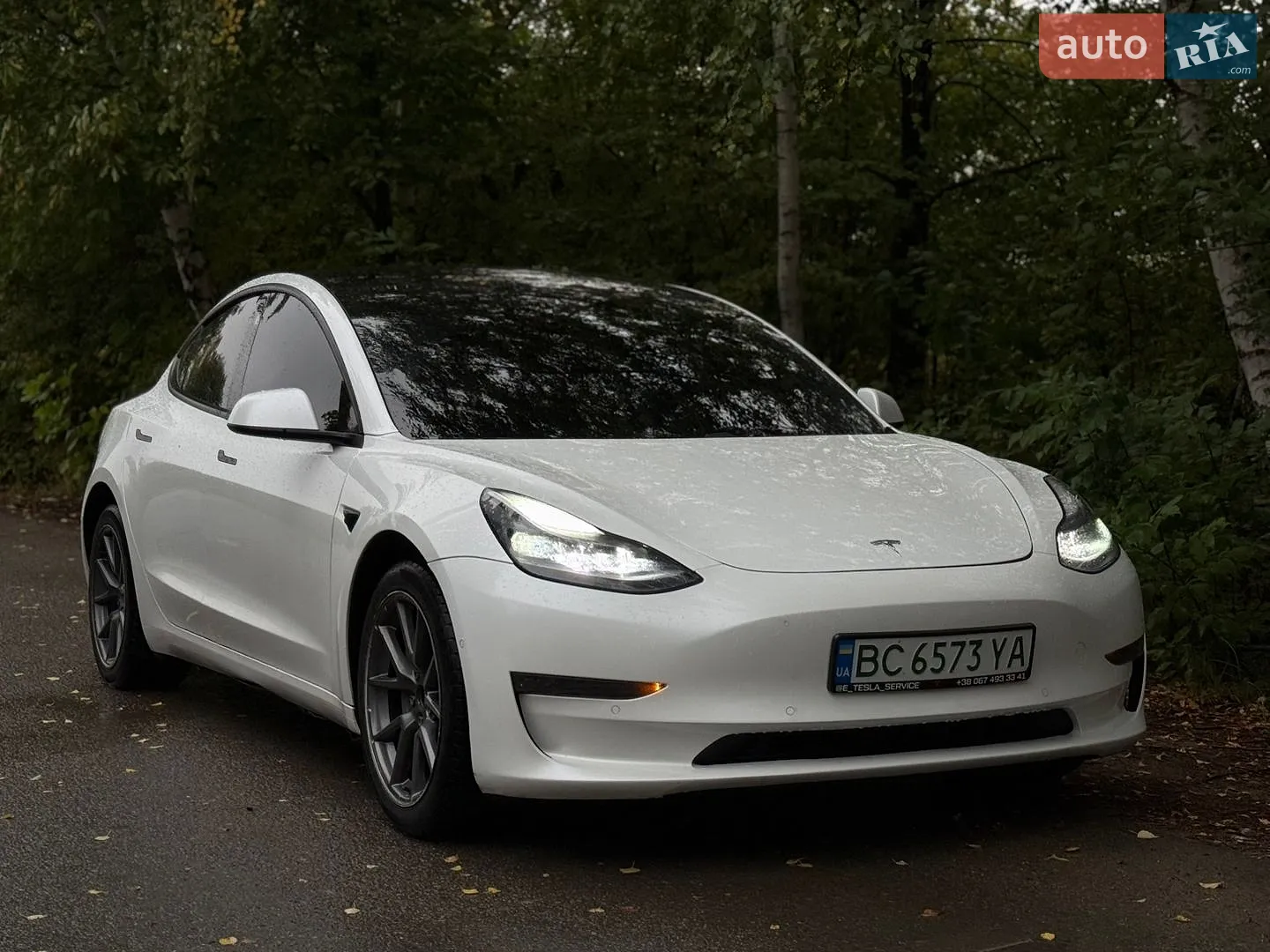 Tesla Model 3, 2021