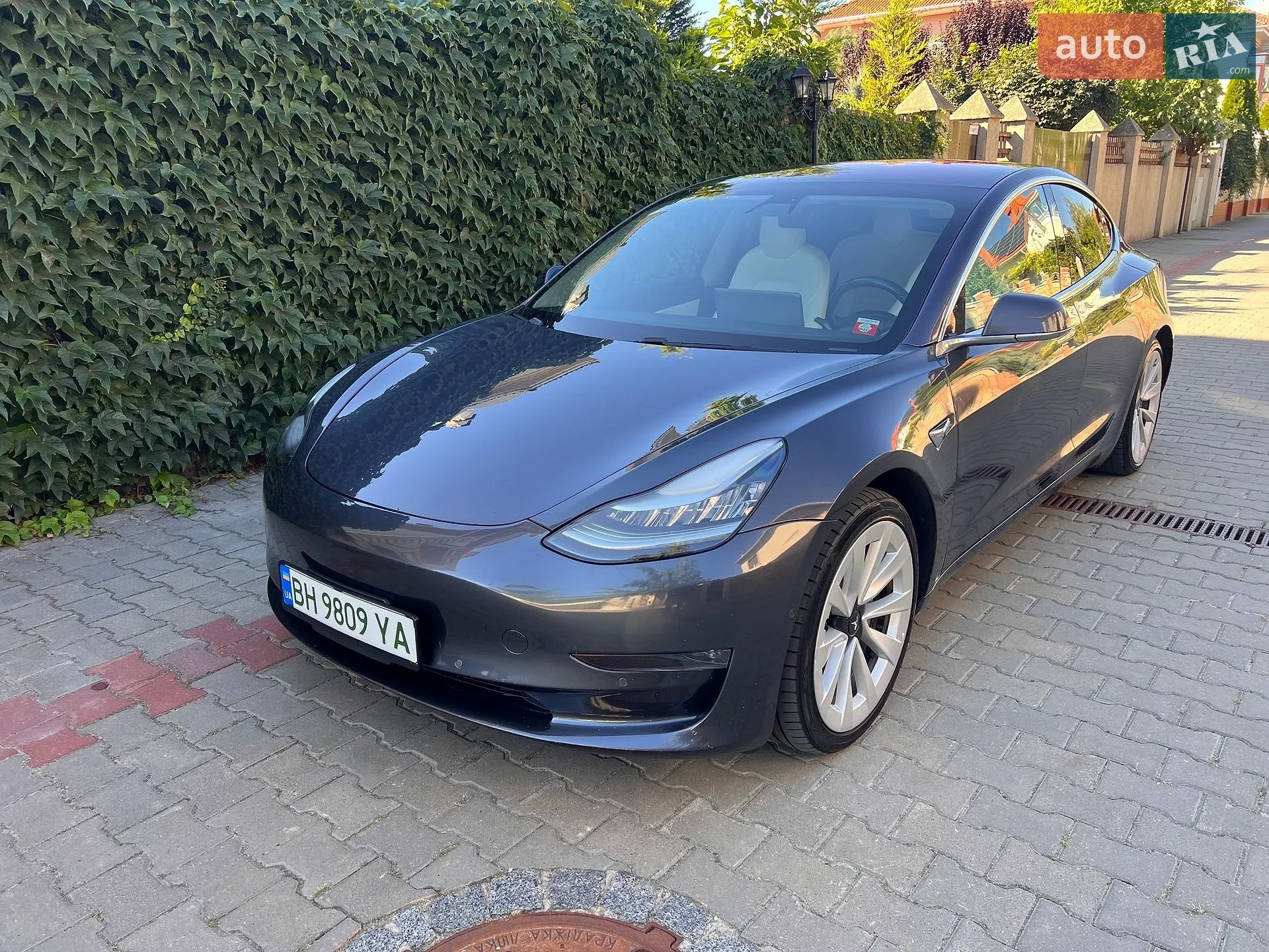 Tesla Model 3, 2019