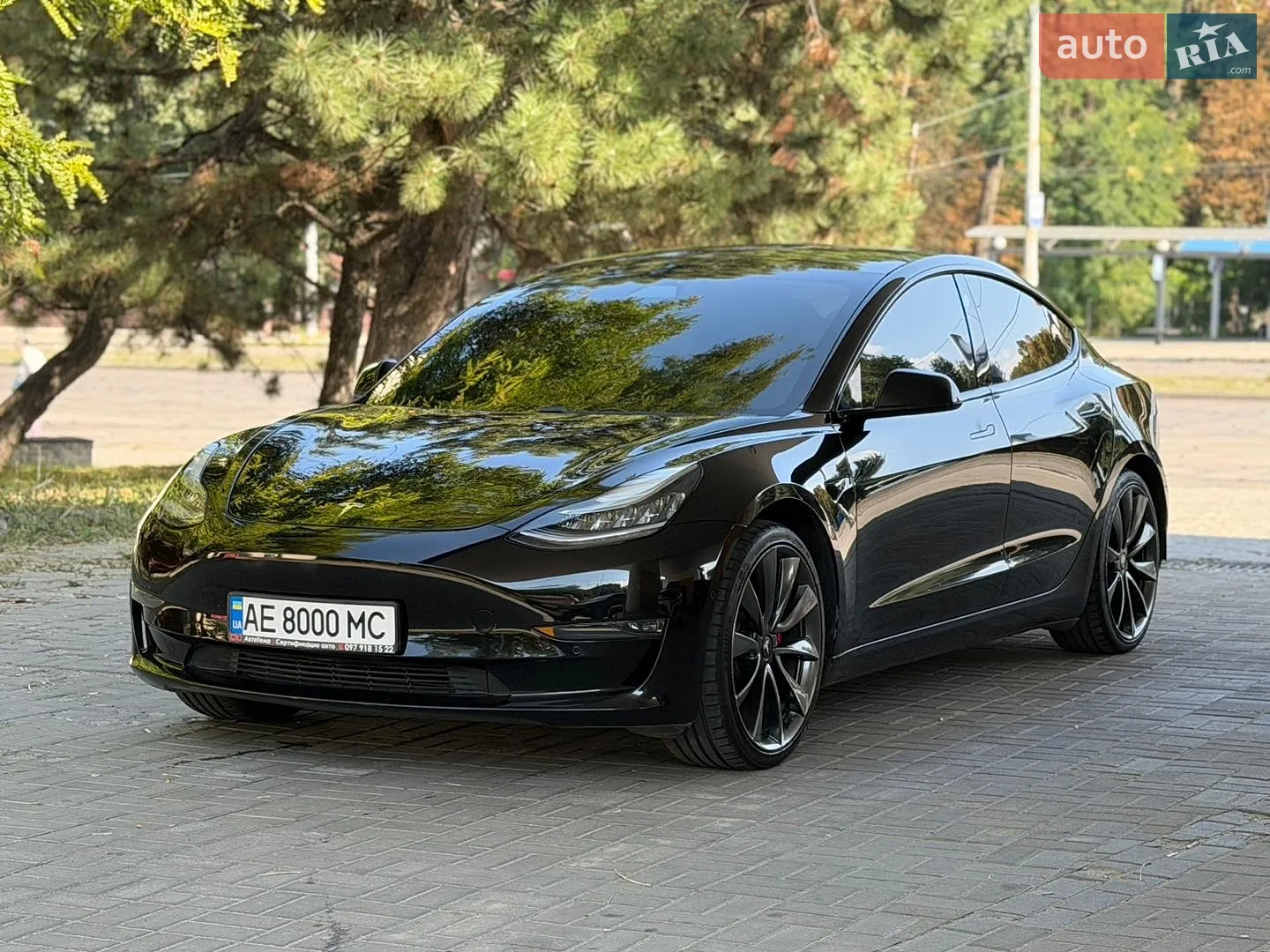Tesla Model 3, 2019