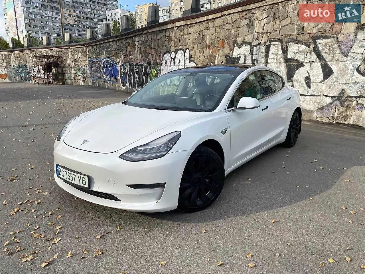 Tesla Model 3, 2019