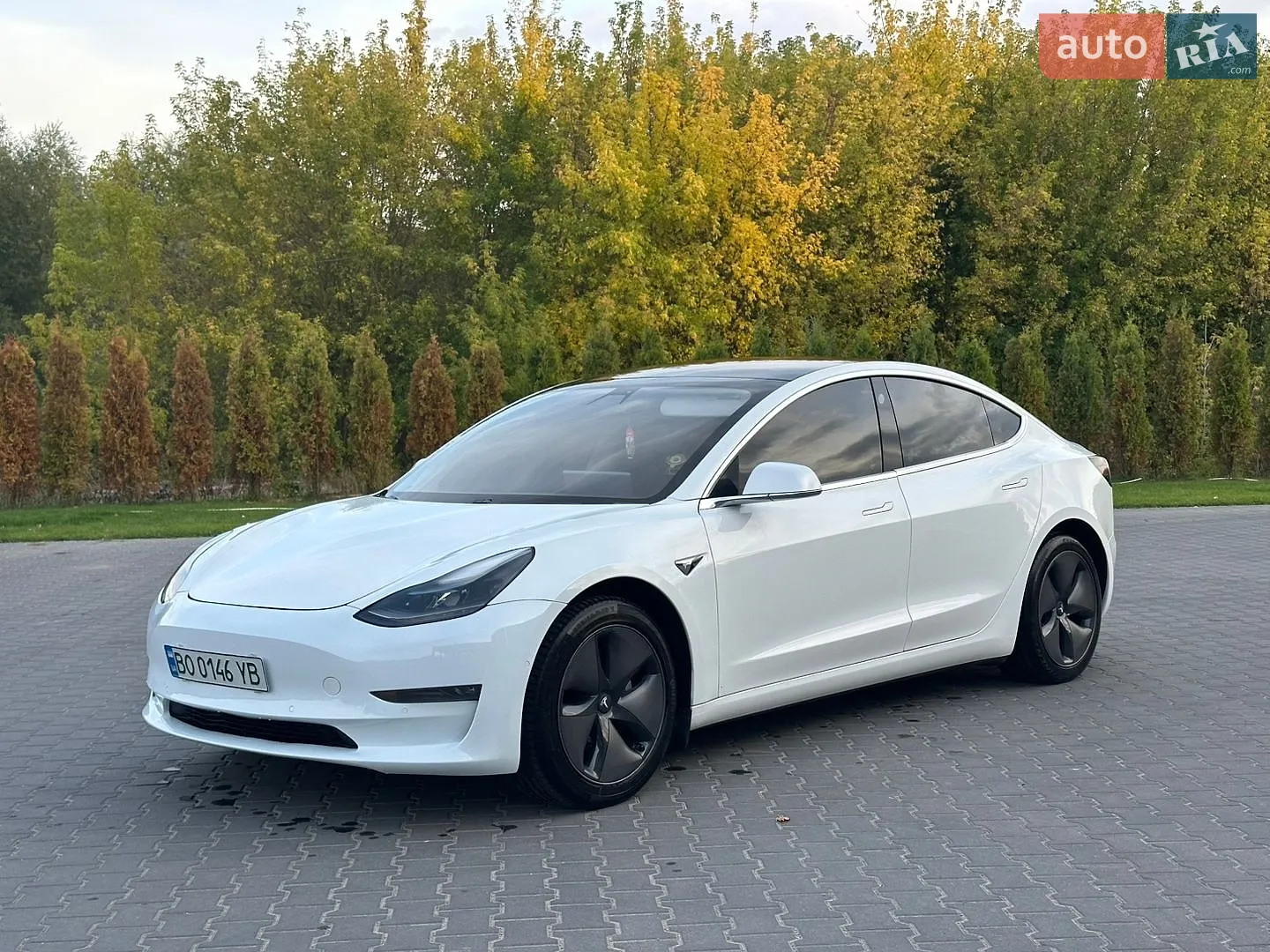 Tesla Model 3, 2020