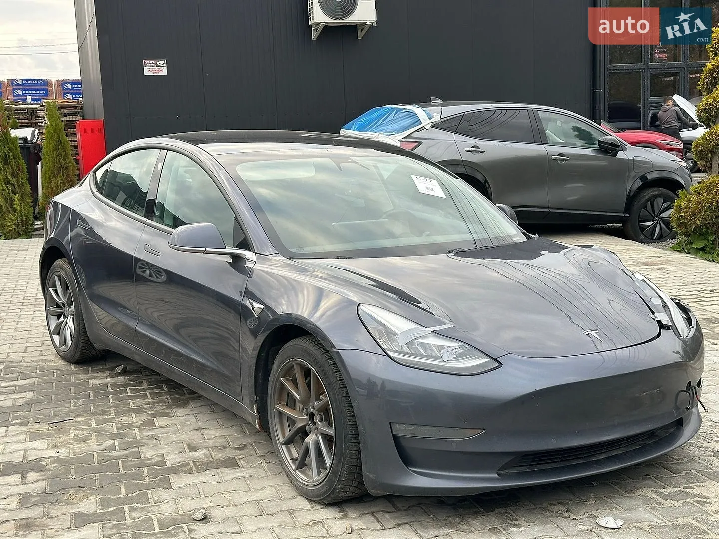 Tesla Model 3, 2019