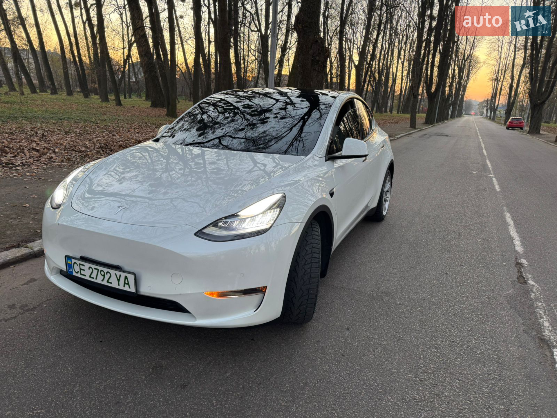 Tesla Model Y, 2021