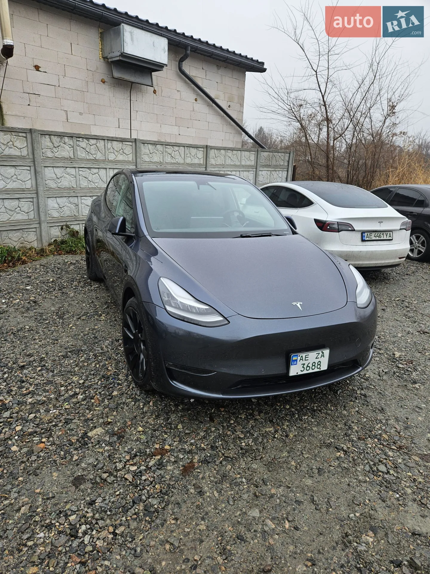 Tesla Model Y, 2020