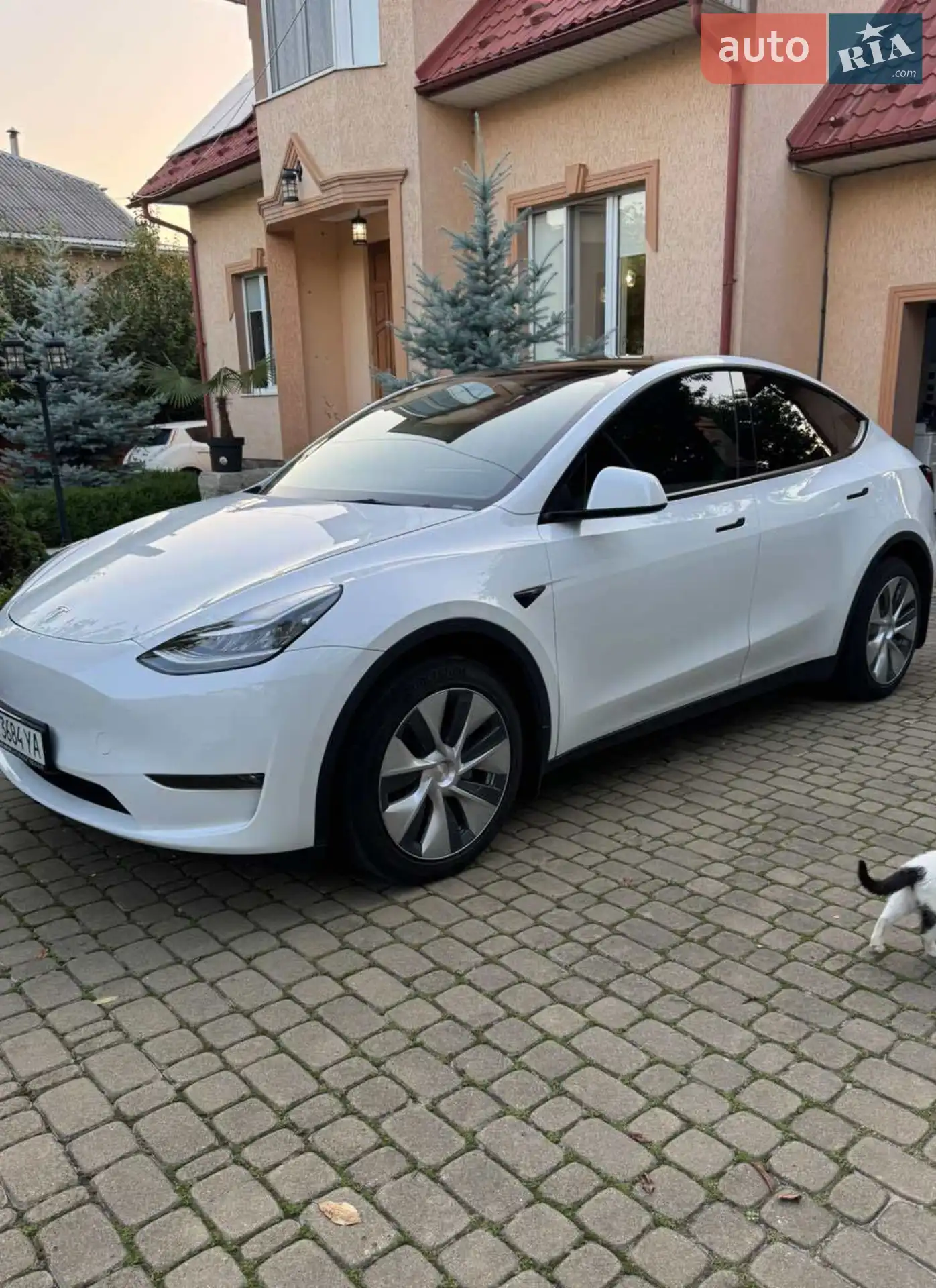 Tesla Model Y, 2022
