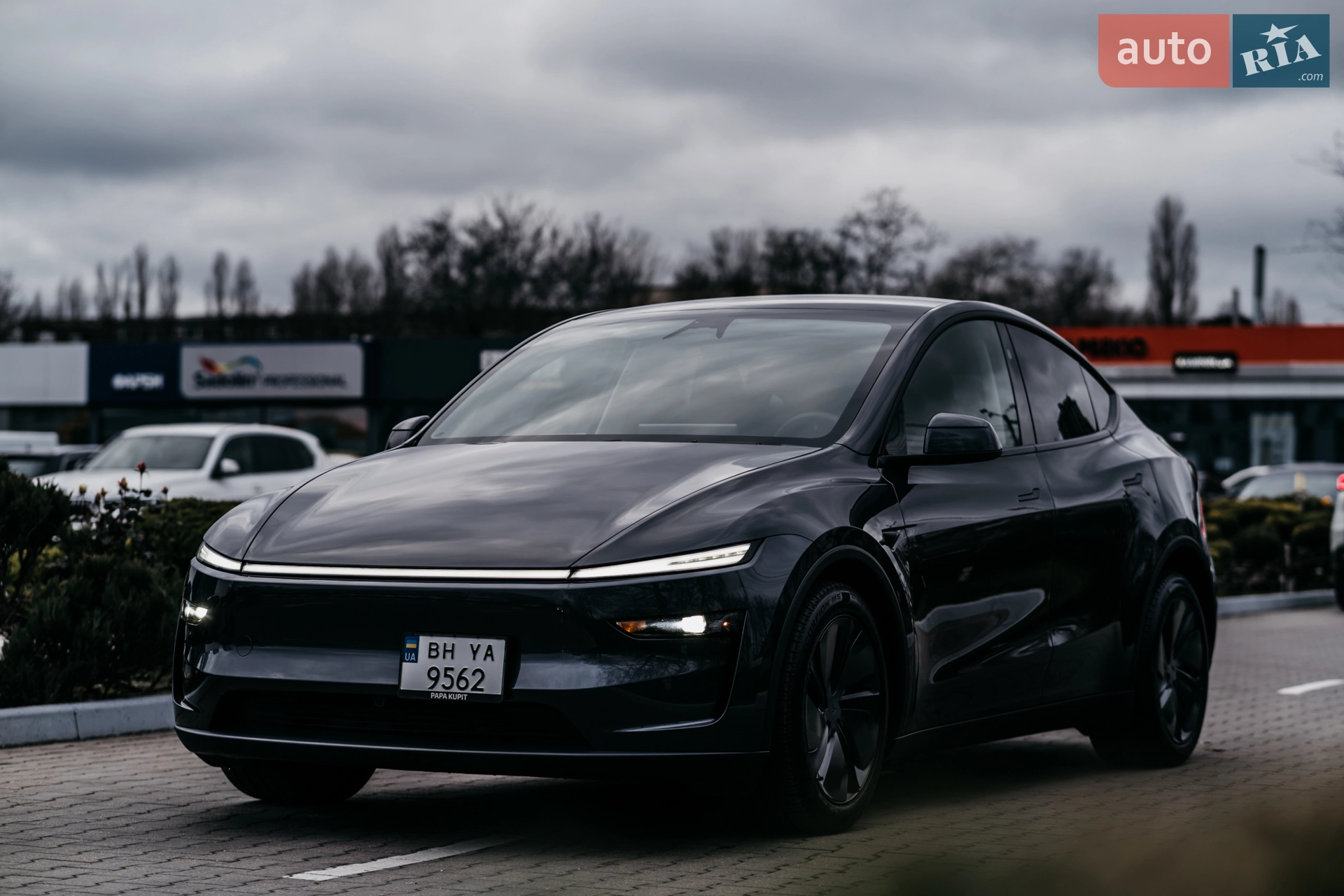 Tesla Model Y, 2025