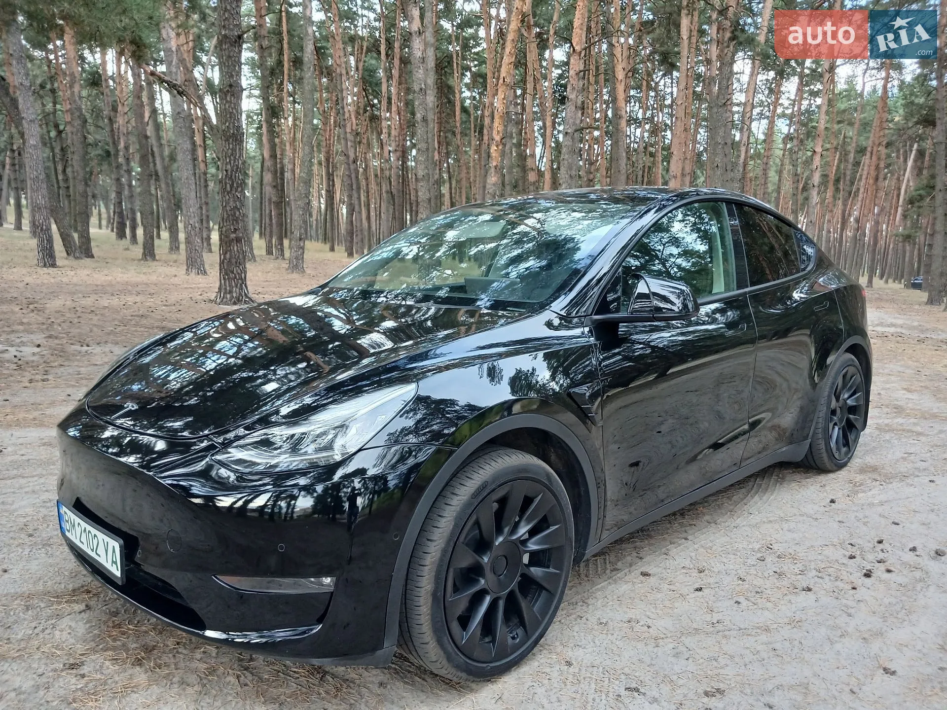 Tesla Model Y, 2022