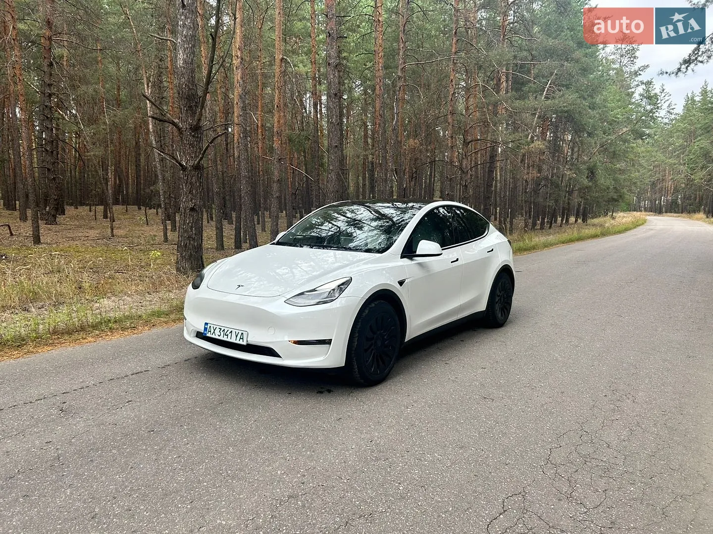 Tesla Model Y, 2021
