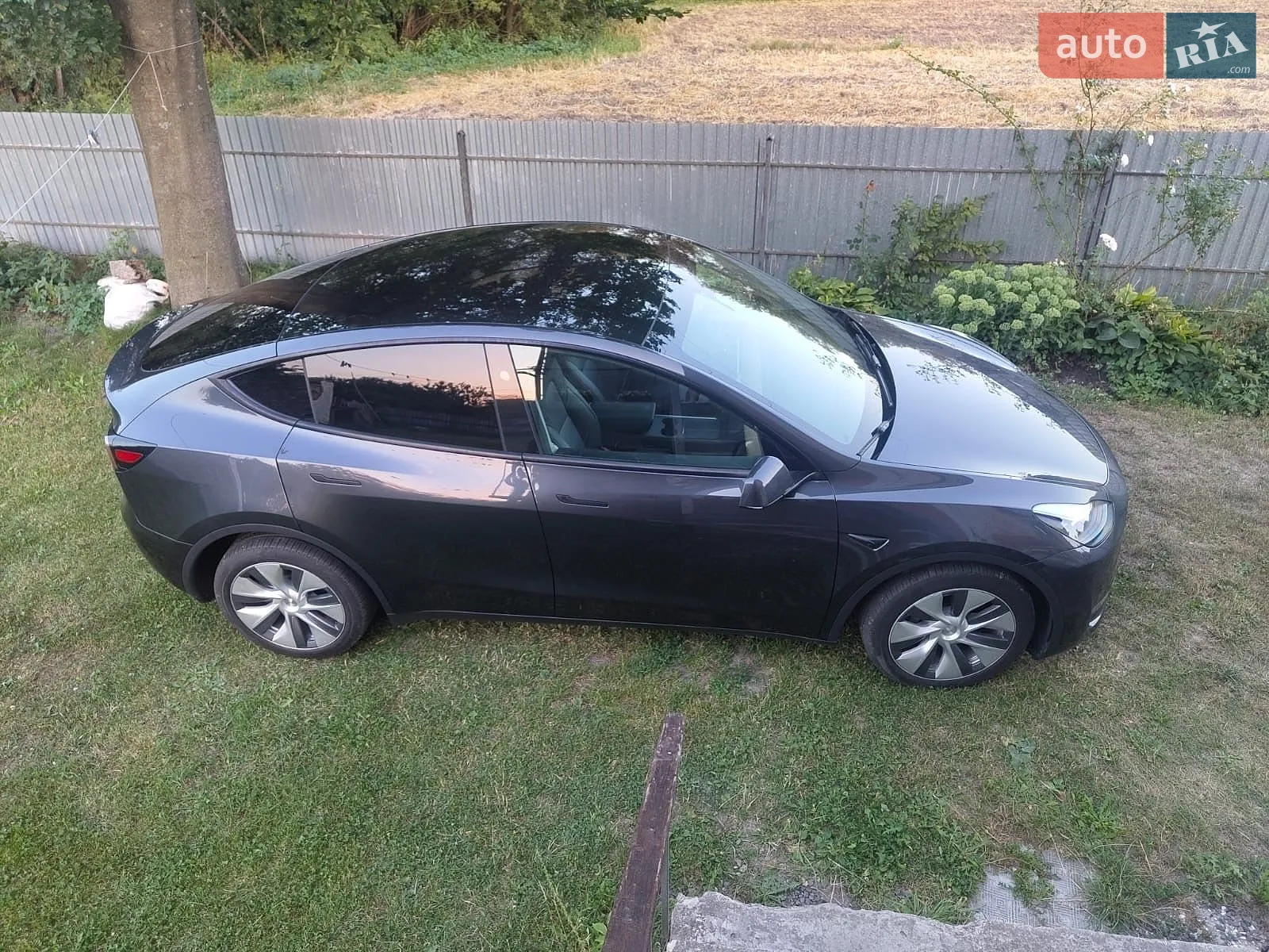 Tesla Model Y, 2024
