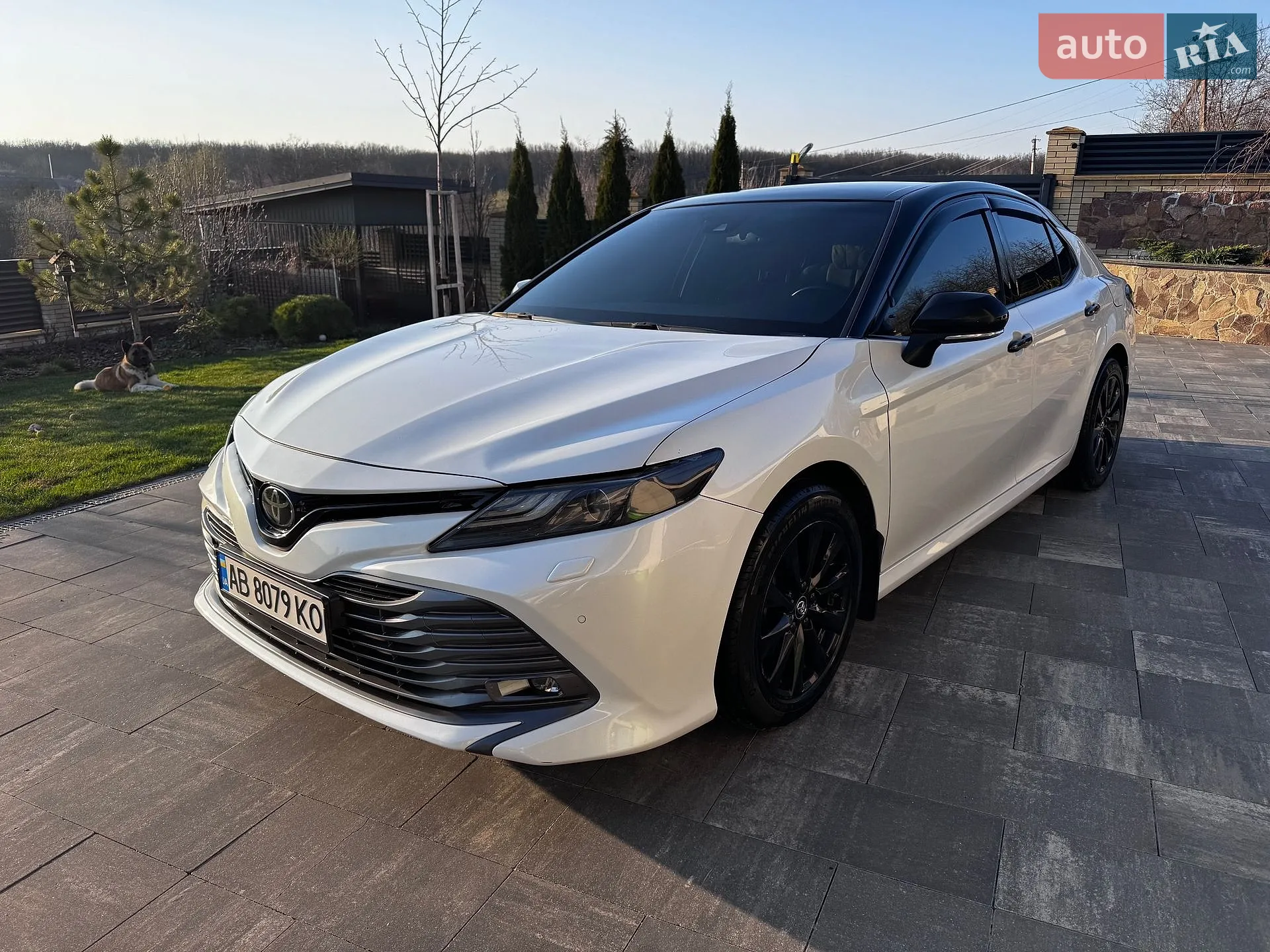 Toyota Camry, 2019