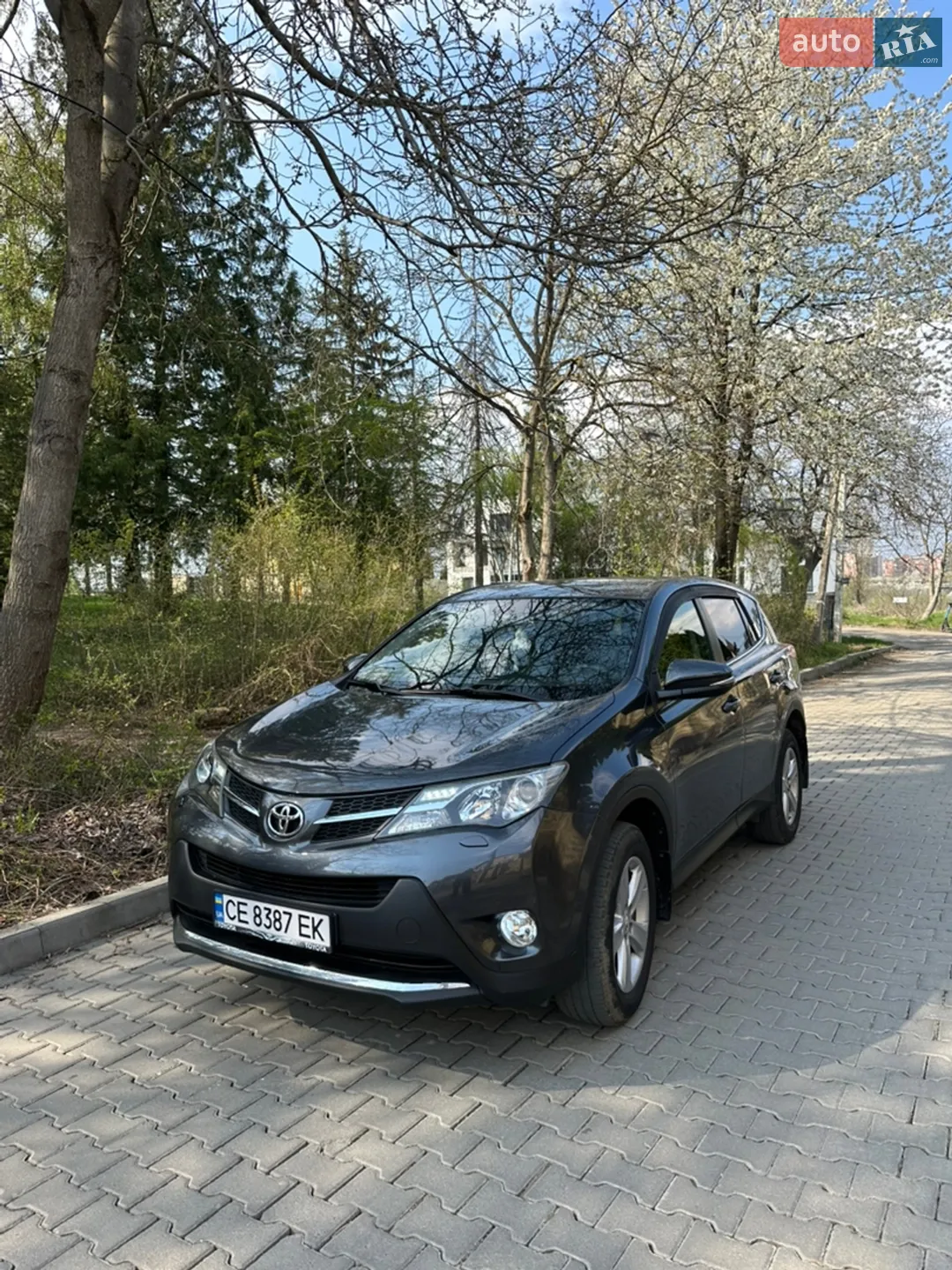 Toyota RAV4 2013 — 1