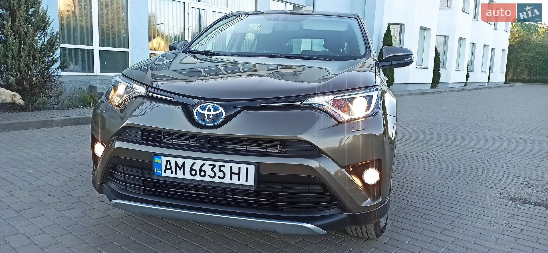 Toyota RAV4, 2017
