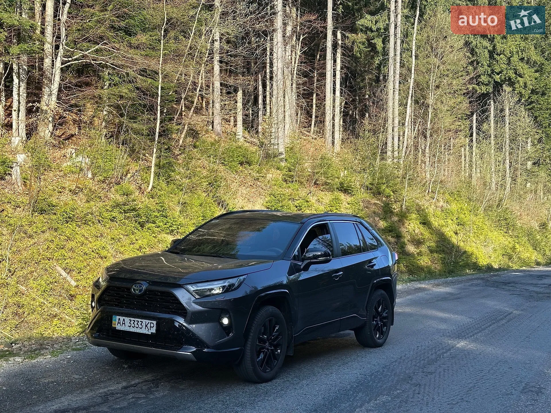Toyota RAV4, 2024
