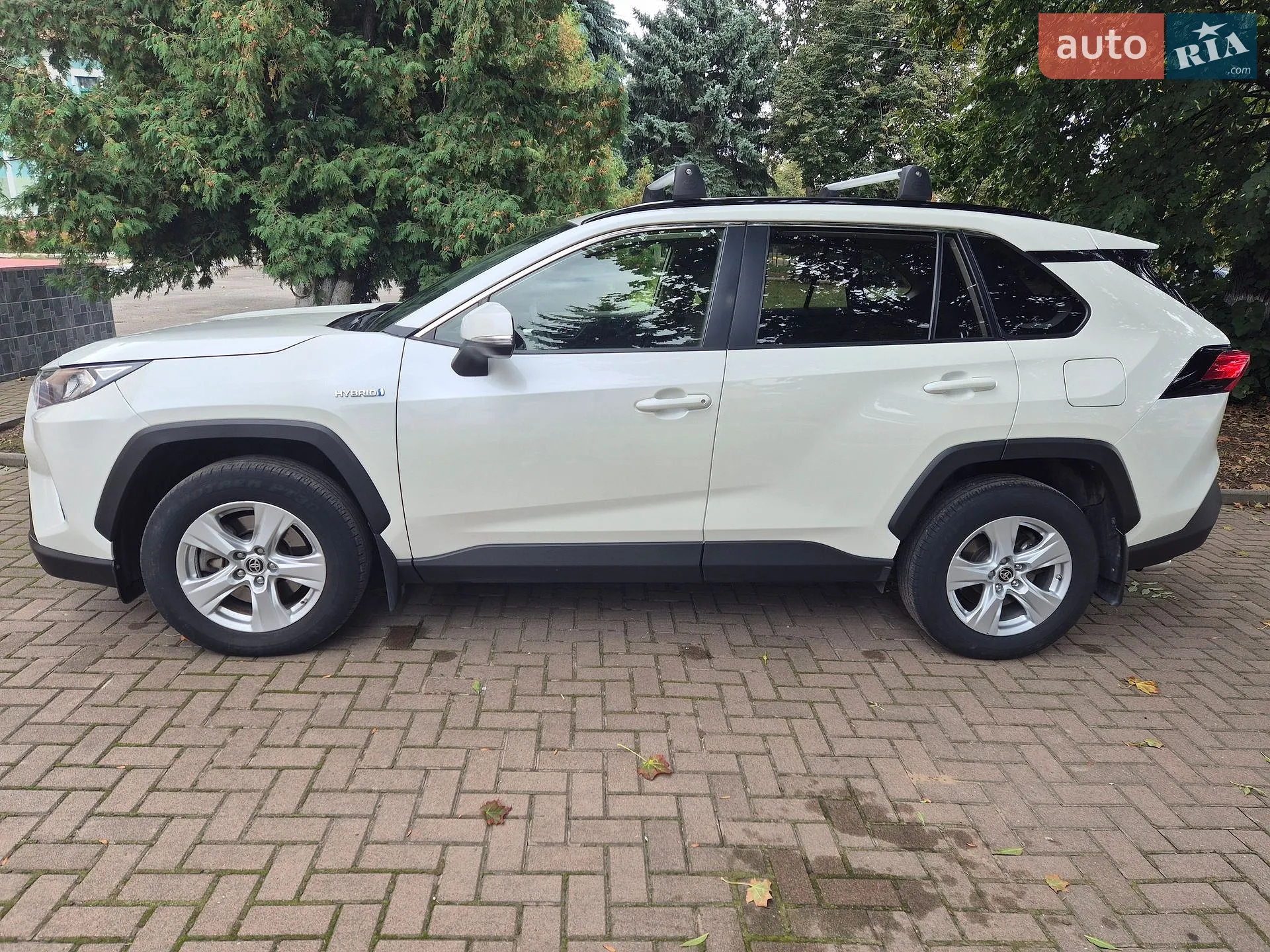 Toyota RAV4, 2019