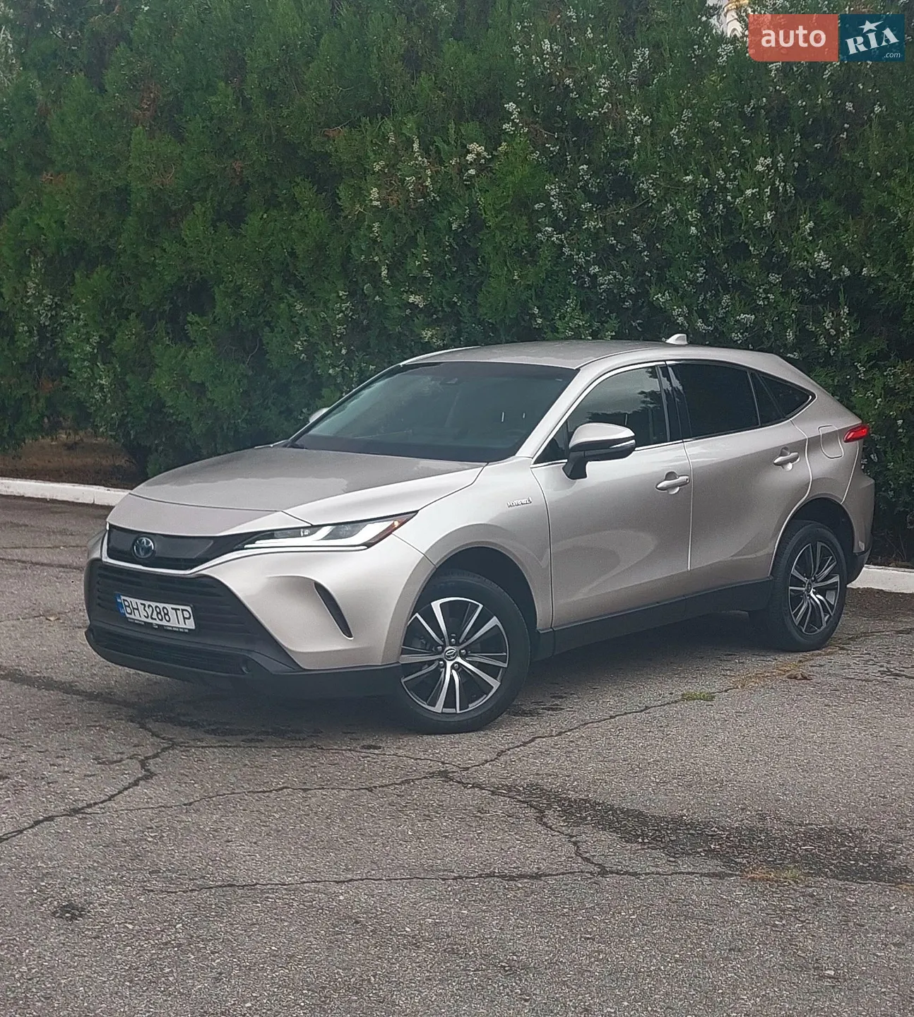 Toyota Venza, 2021