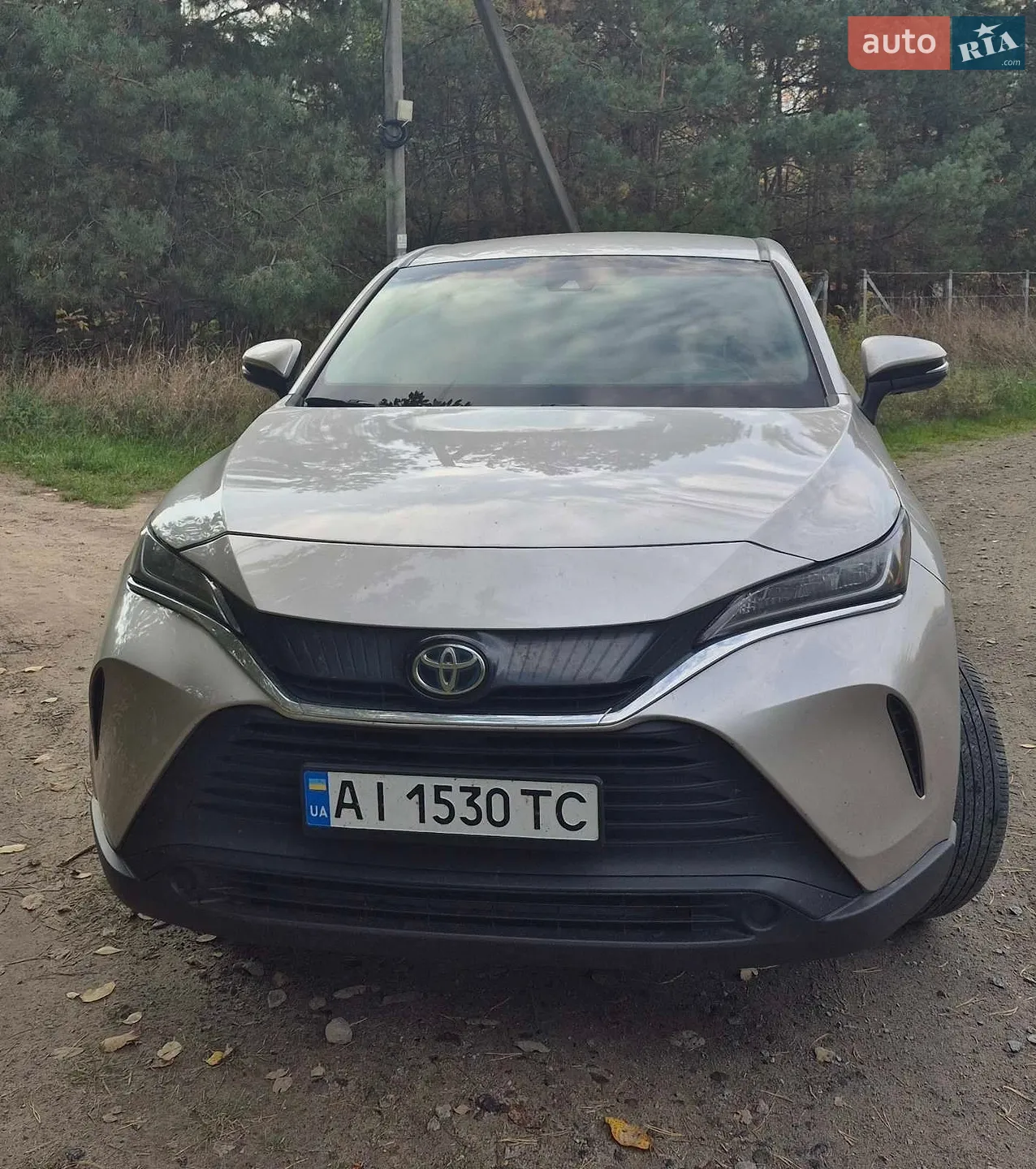 Toyota Venza, 2021