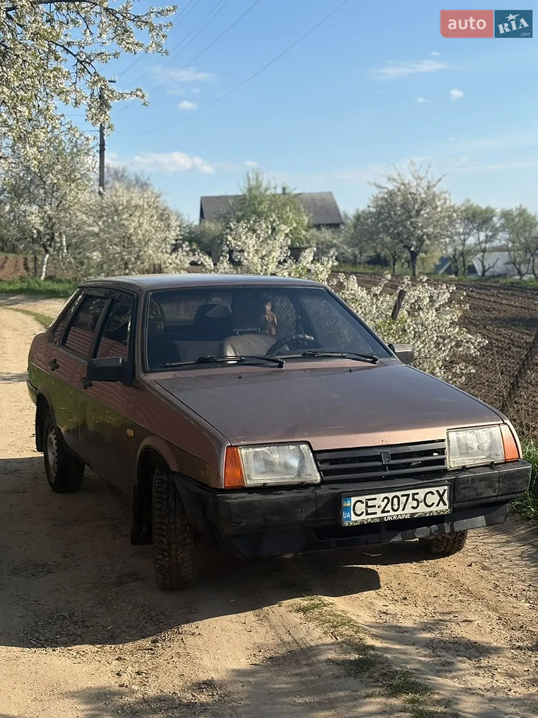 ВАЗ / Lada 21099, 1996