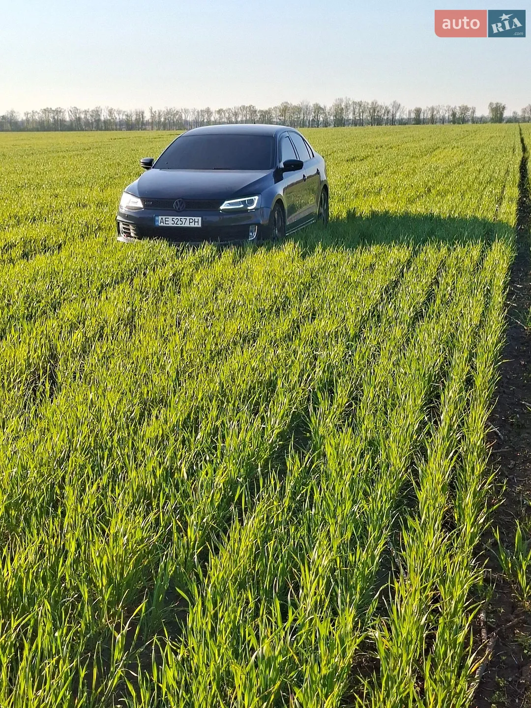 Volkswagen Jetta, 2012
