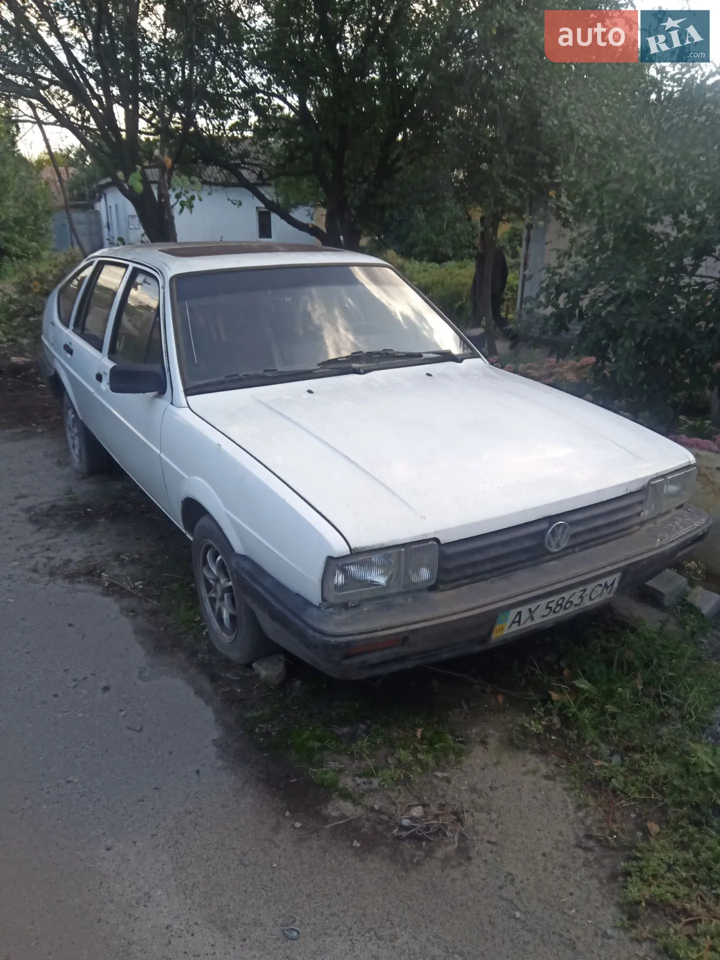 Volkswagen Passat, 1981