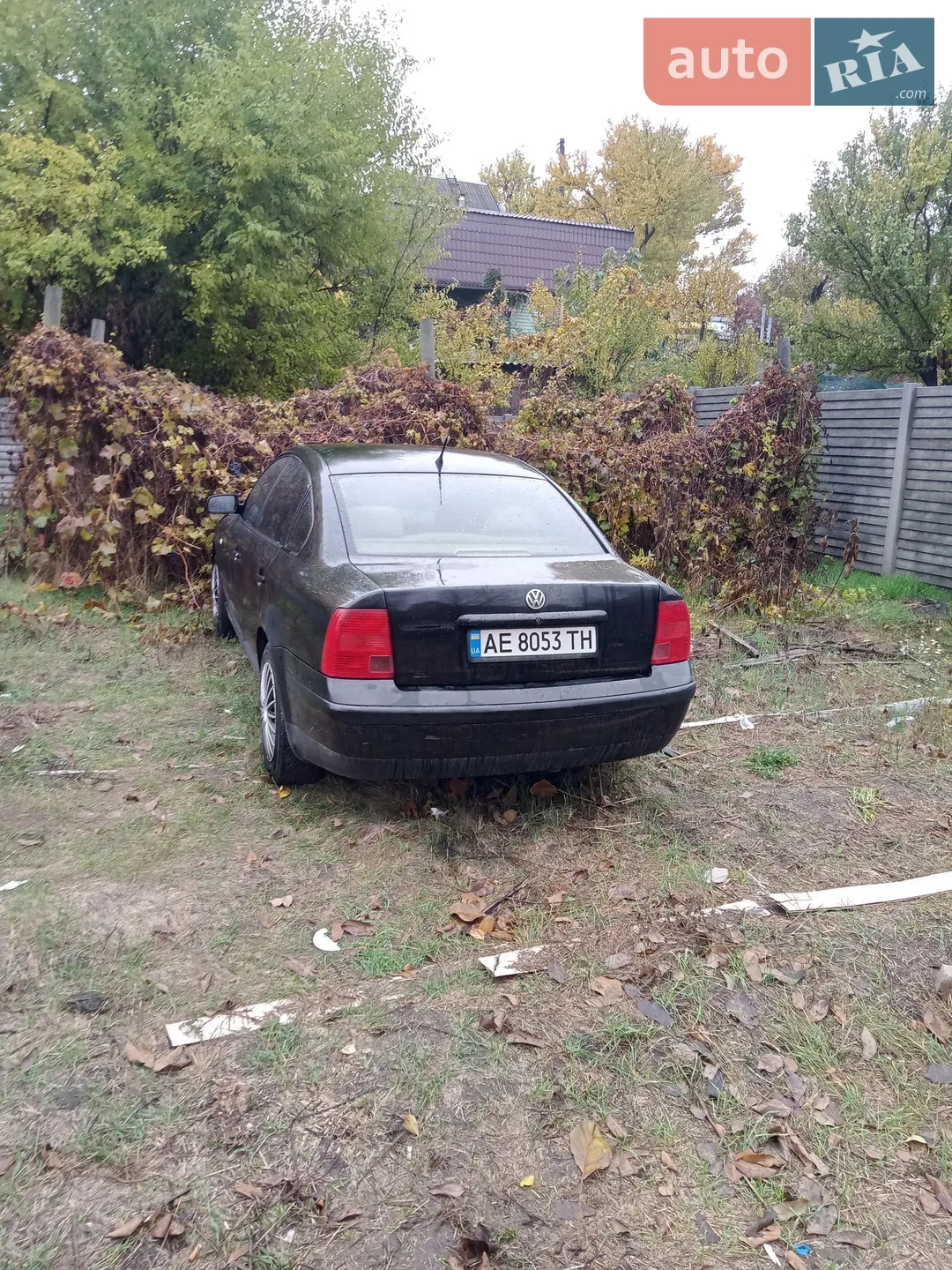 Volkswagen Passat, 1999