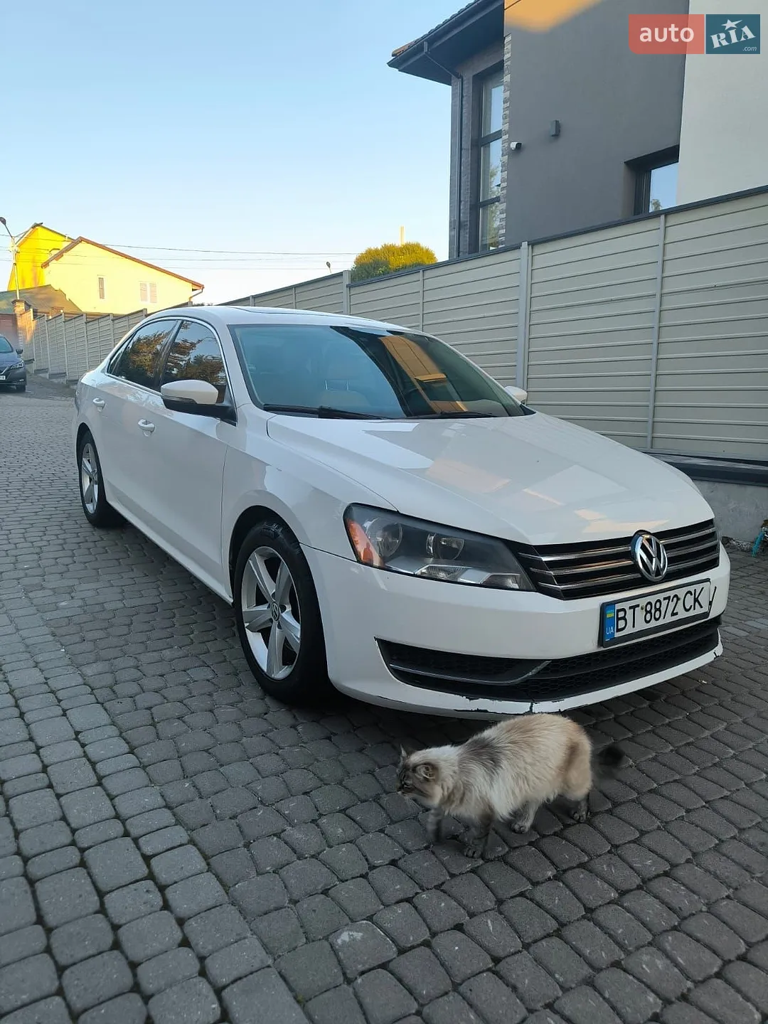 Volkswagen Passat, 2013