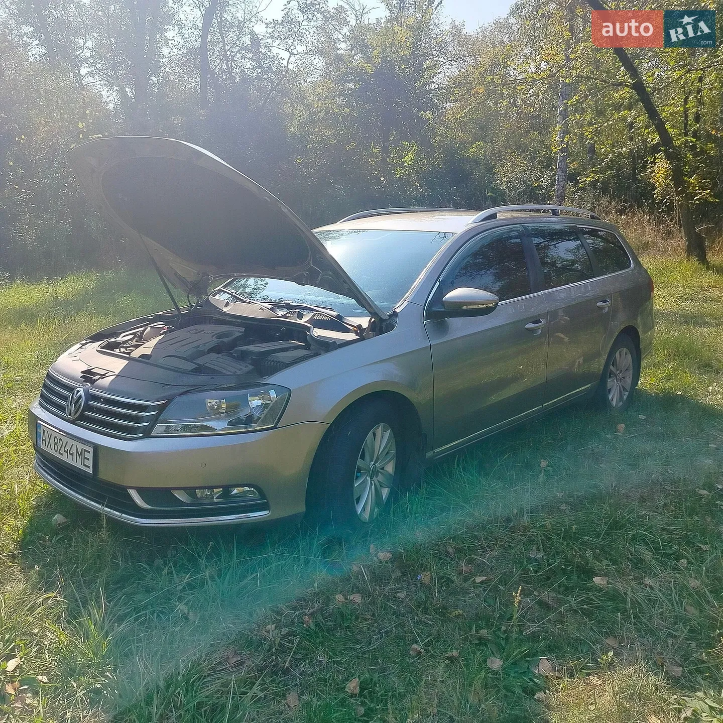 Volkswagen Passat, 2013