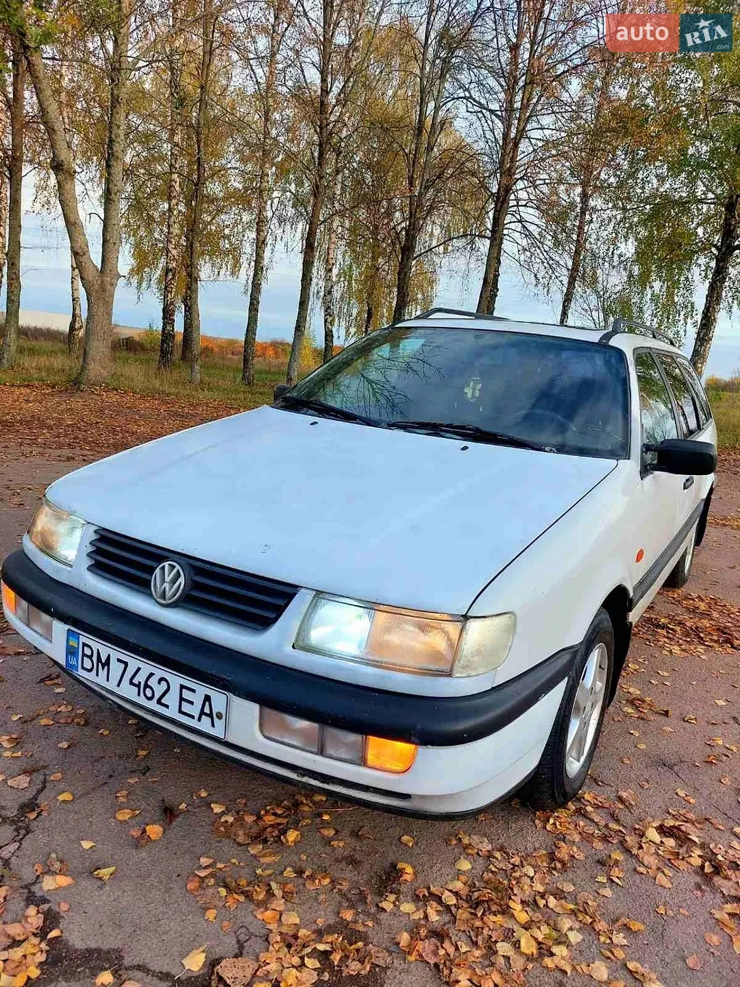 Volkswagen Passat, 1994