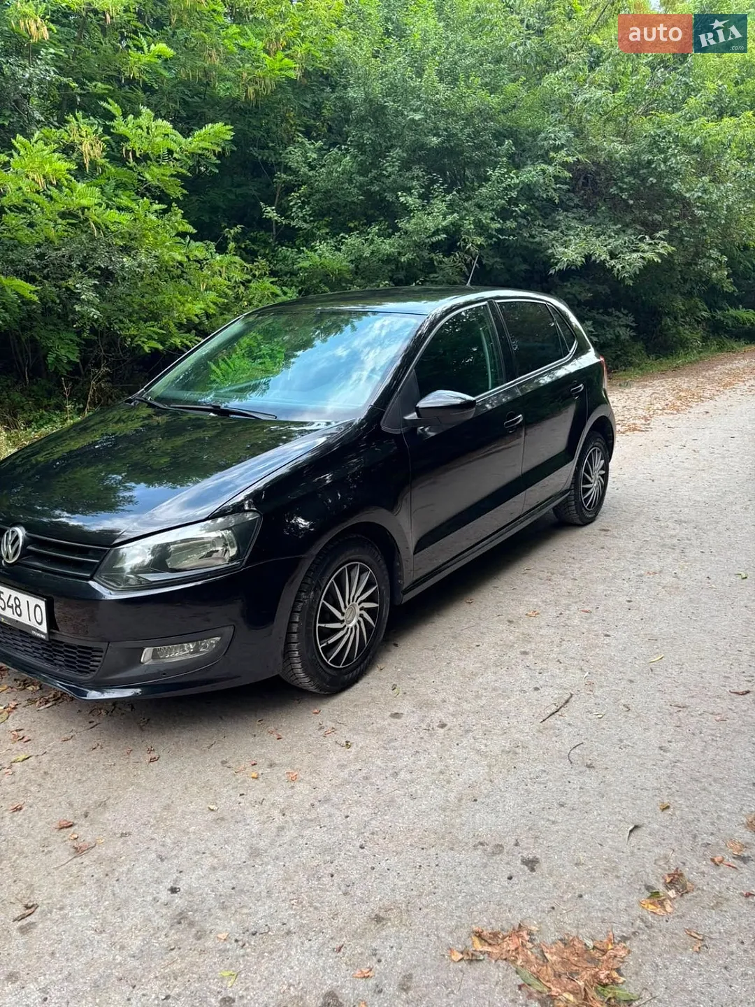Volkswagen Polo, 2010