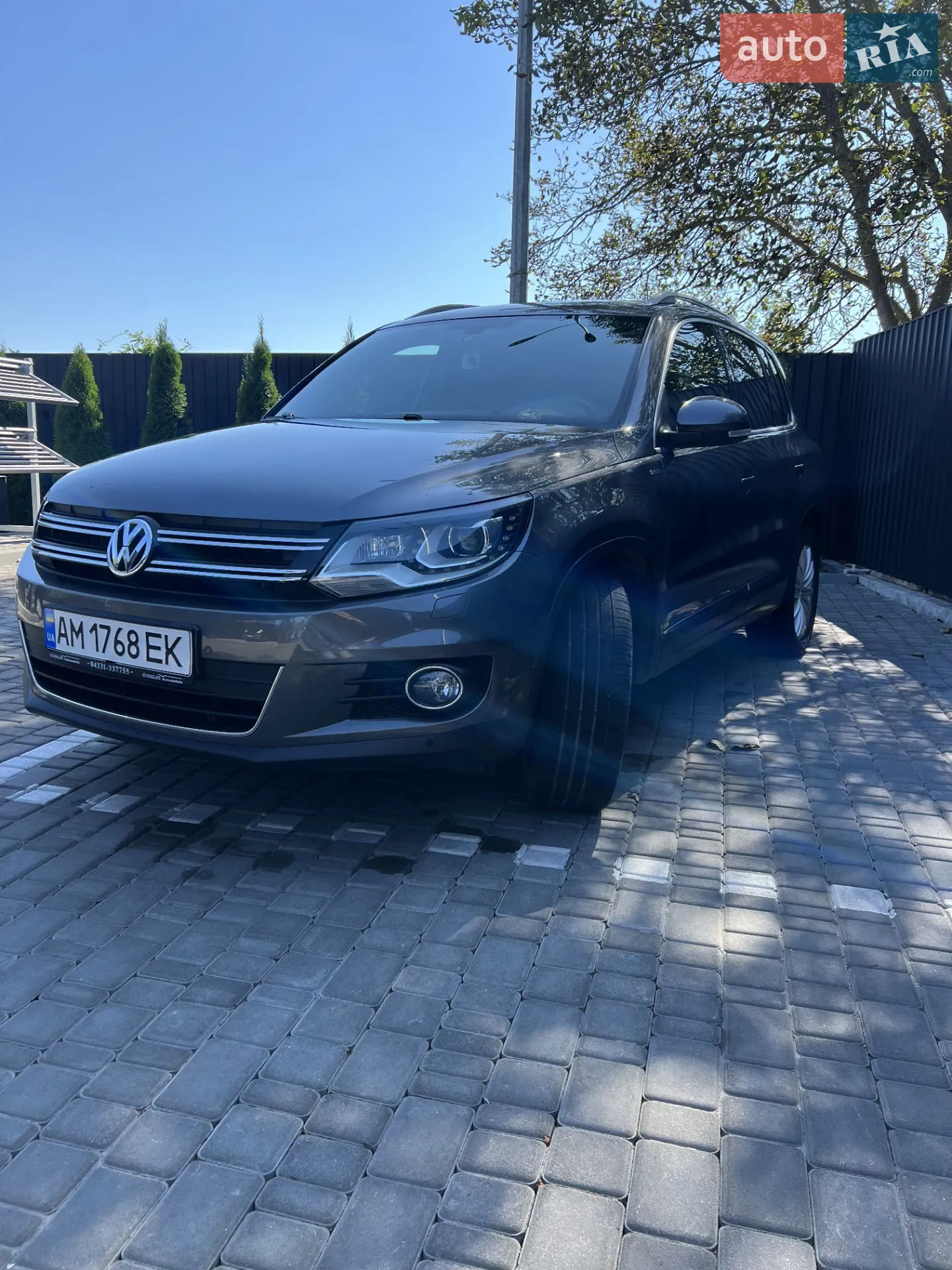 Volkswagen Tiguan, 2013