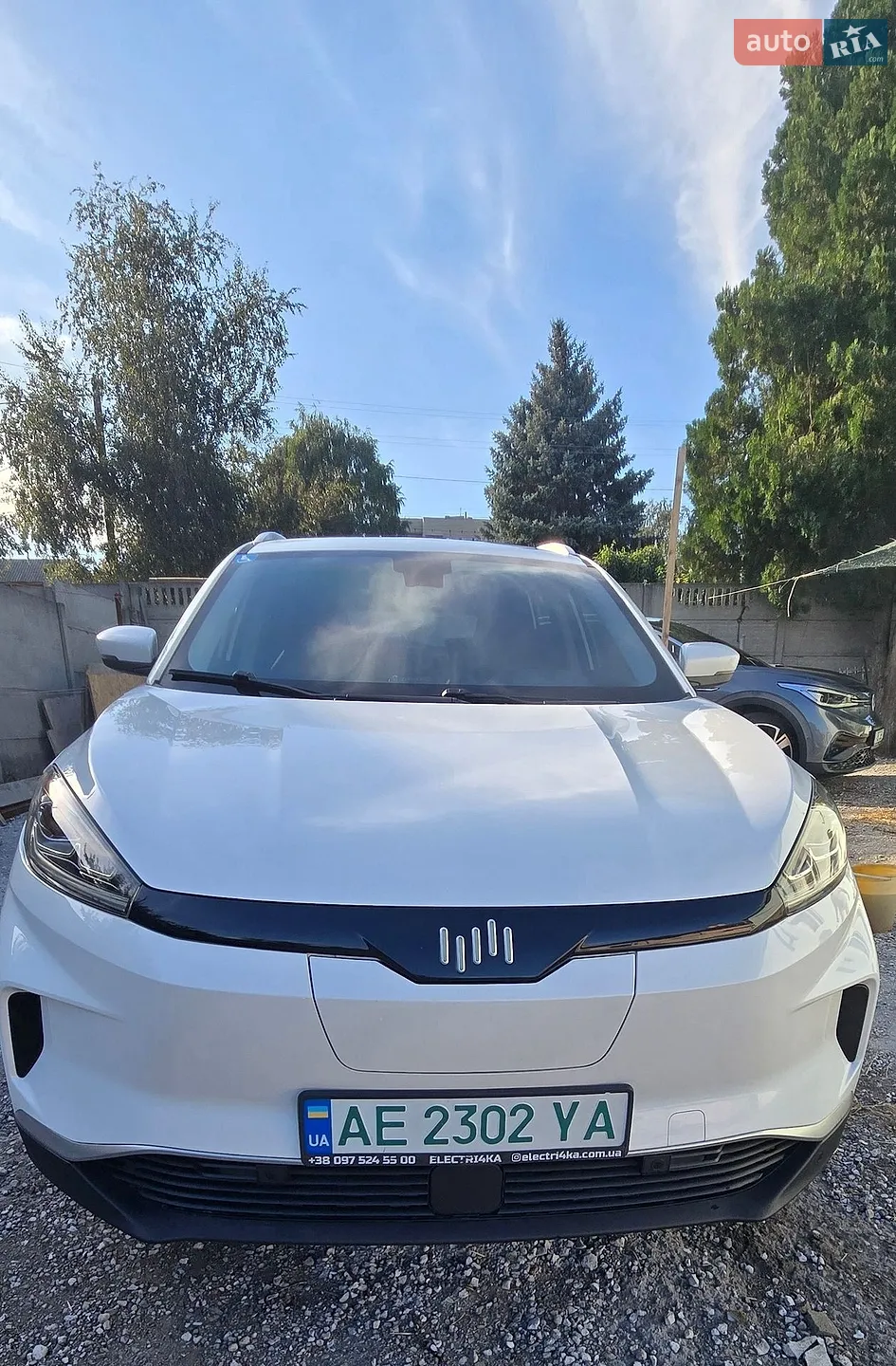 Weltmeister EX5, 2019