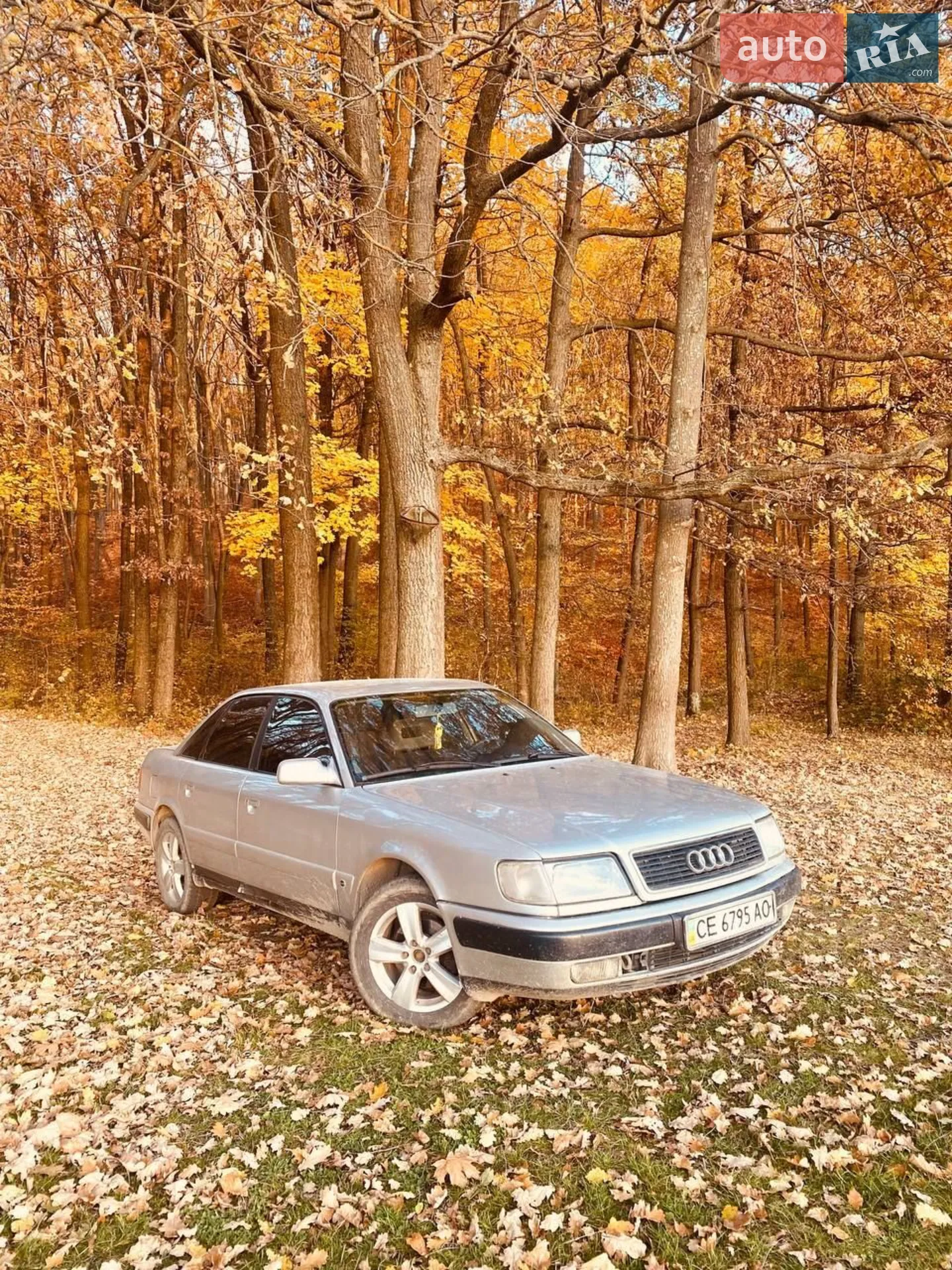 Audi 100, 1993