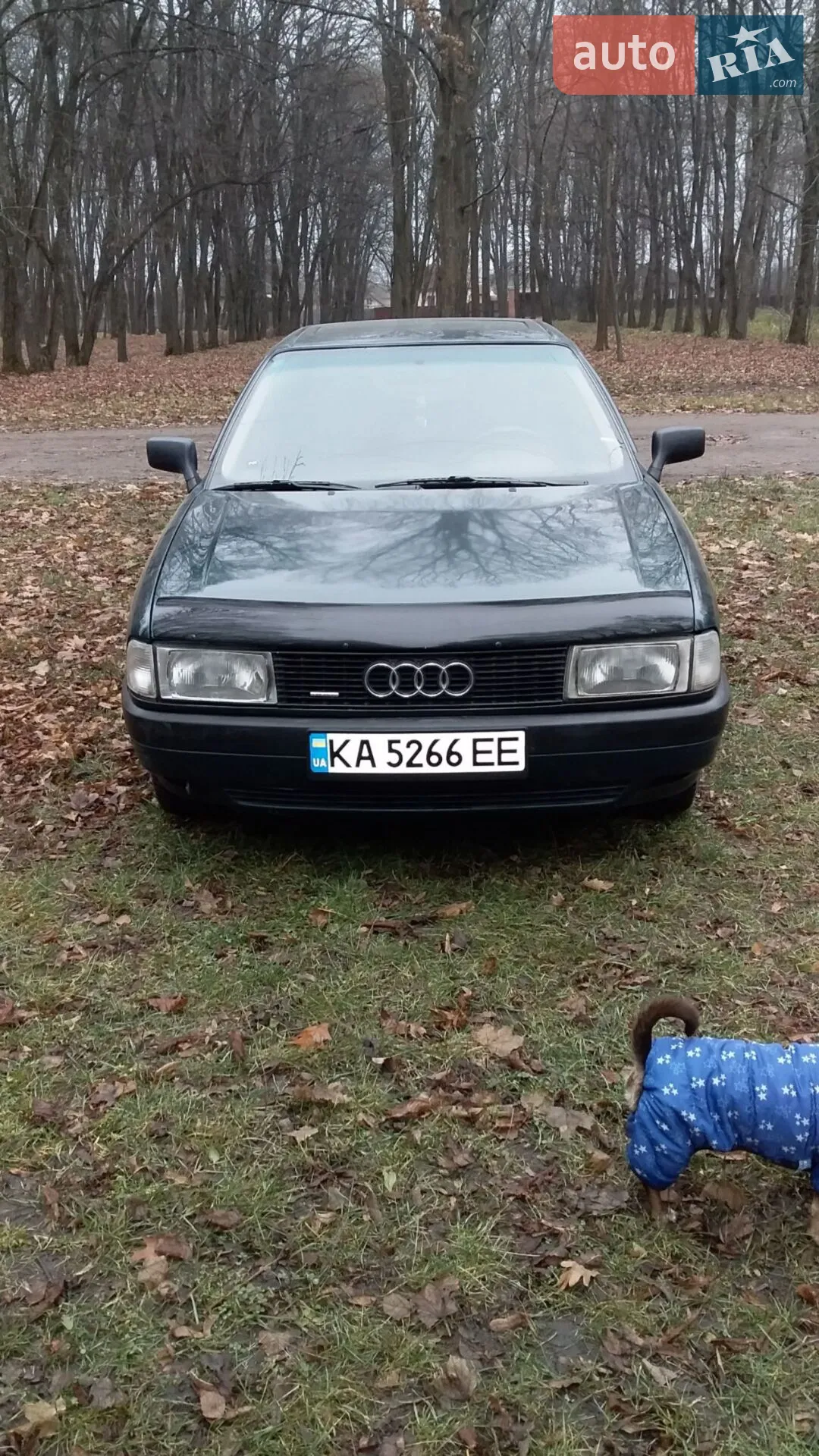Audi 80, 1991