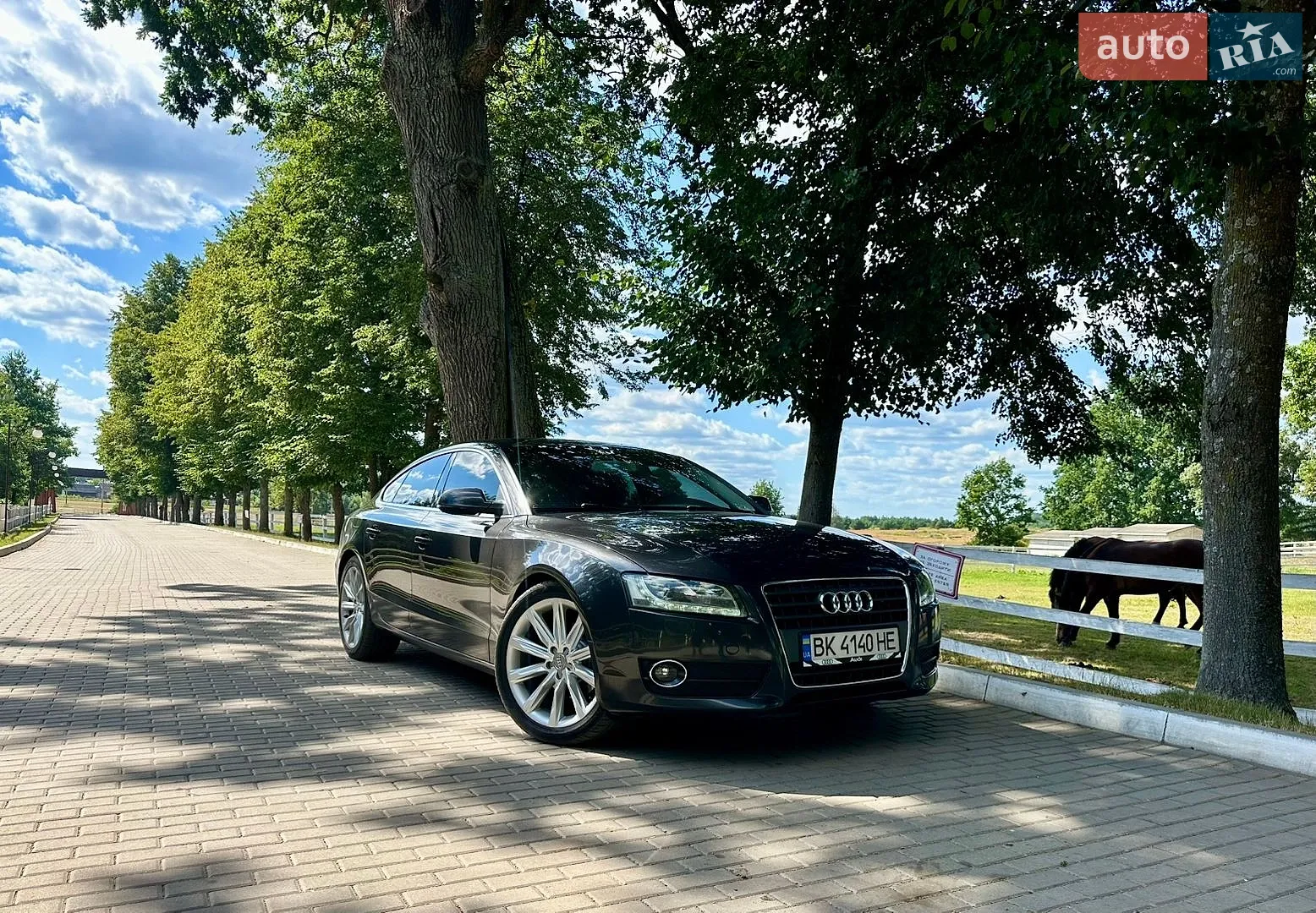 Audi A5, 2011