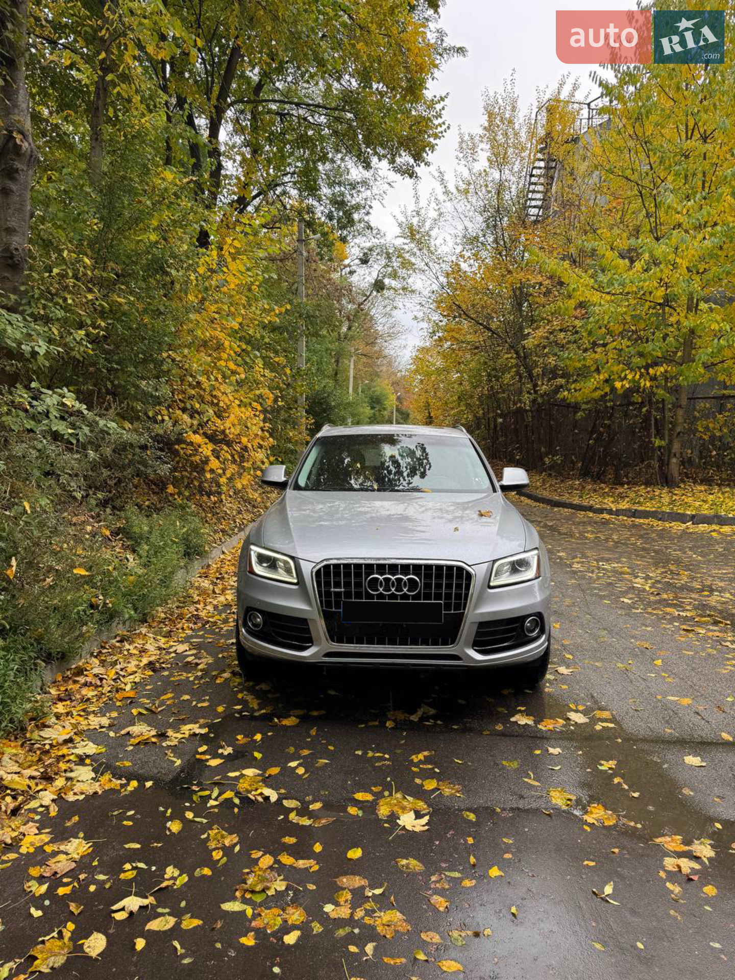 Audi Q5, 2015