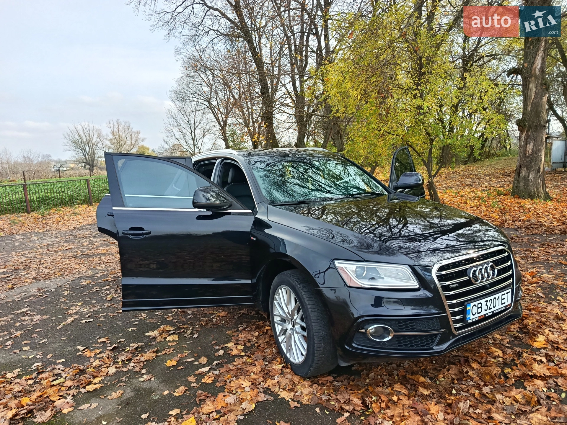 Audi Q5, 2013