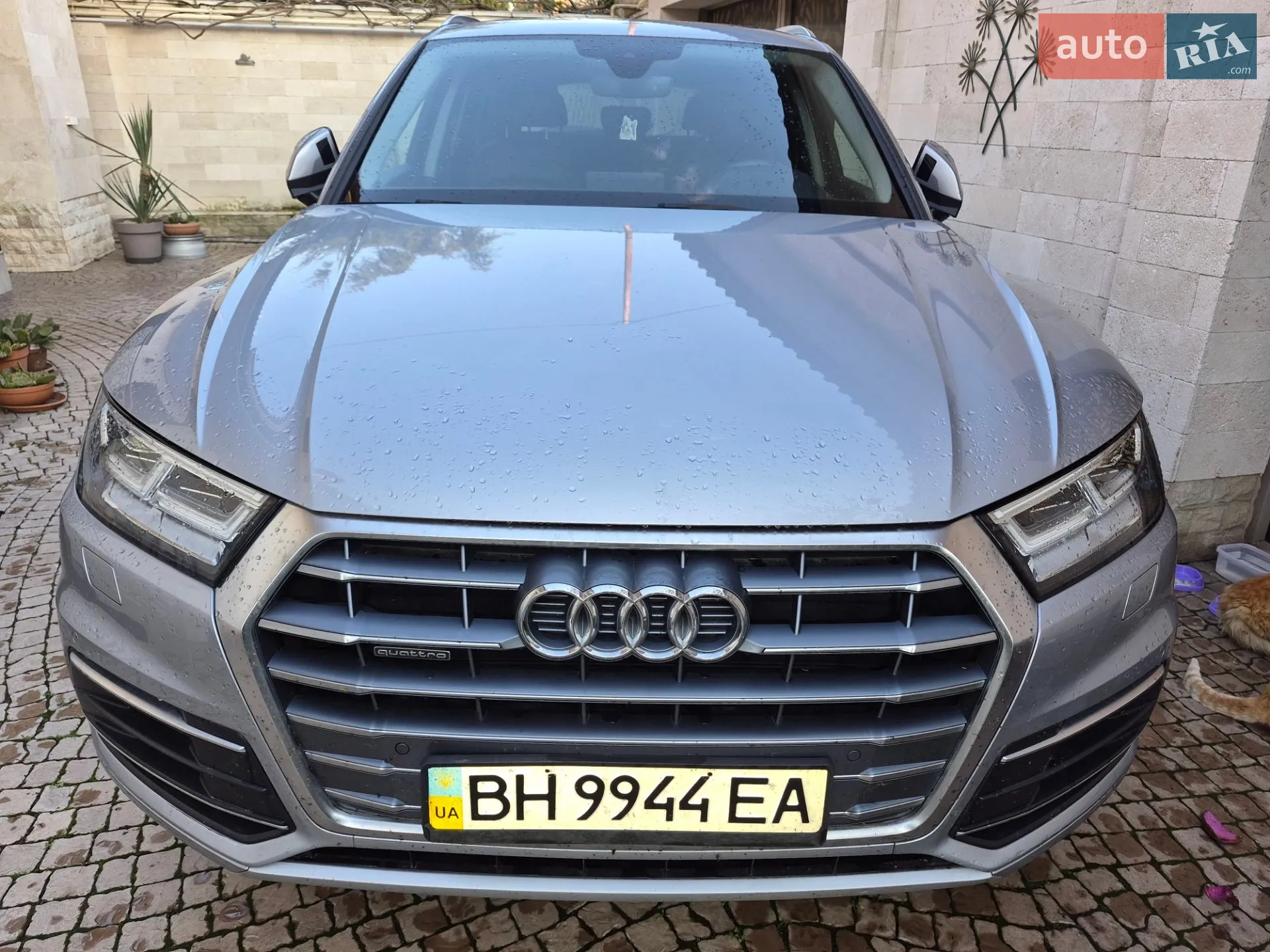 Audi Q5, 2018