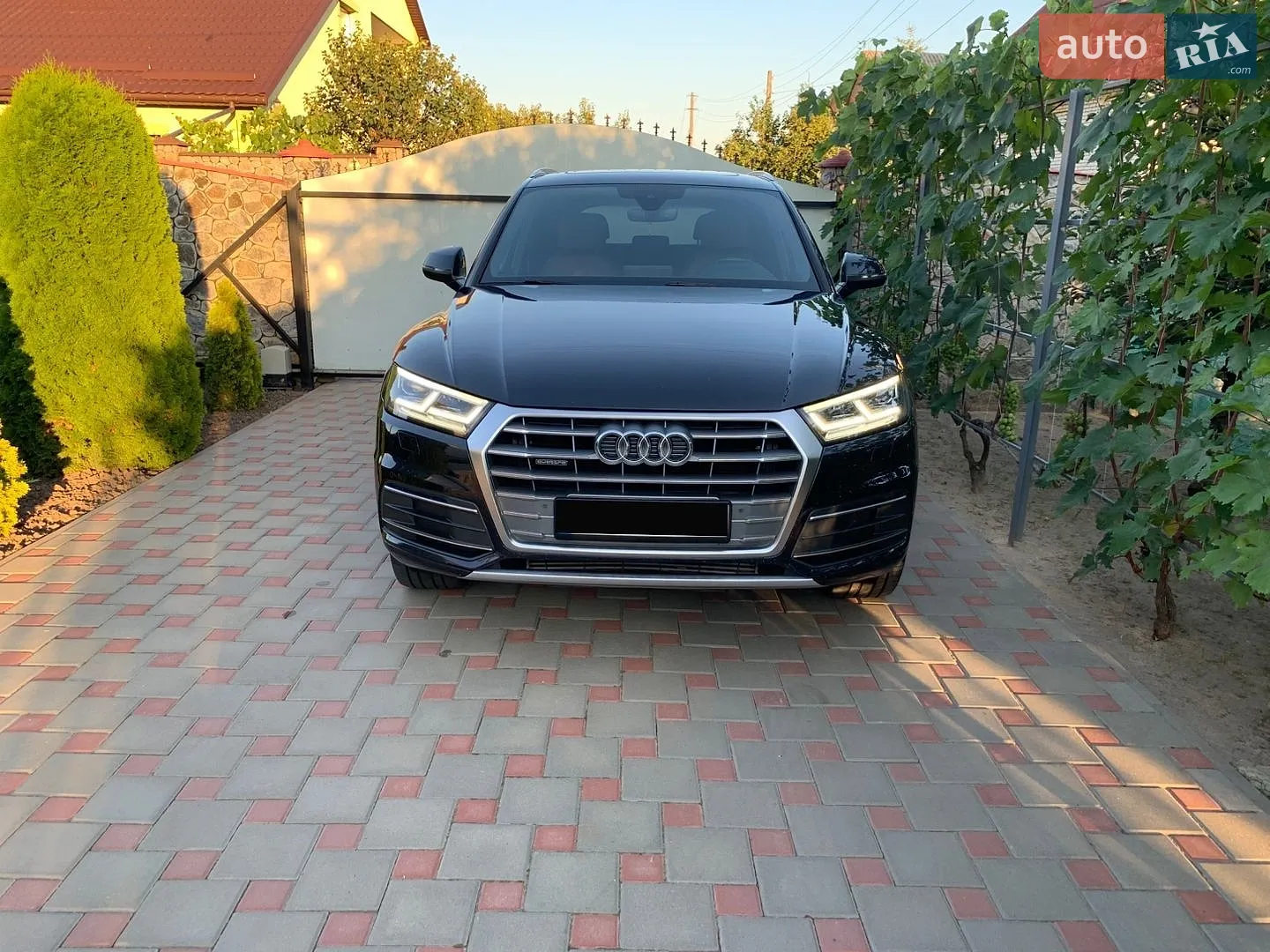 Audi Q5, 2020