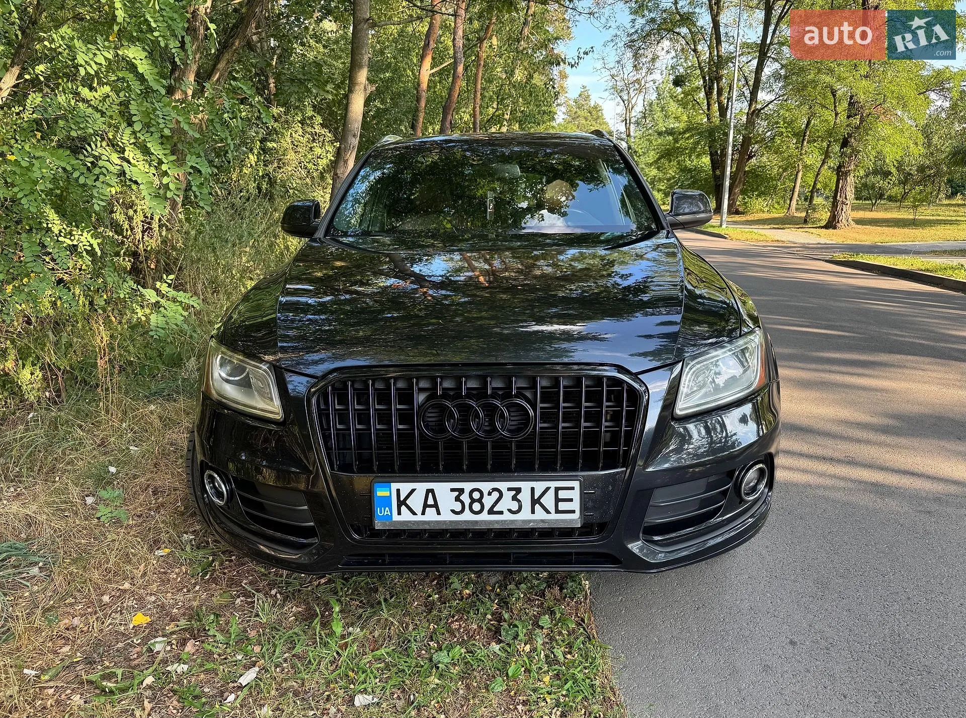 Audi Q5, 2013