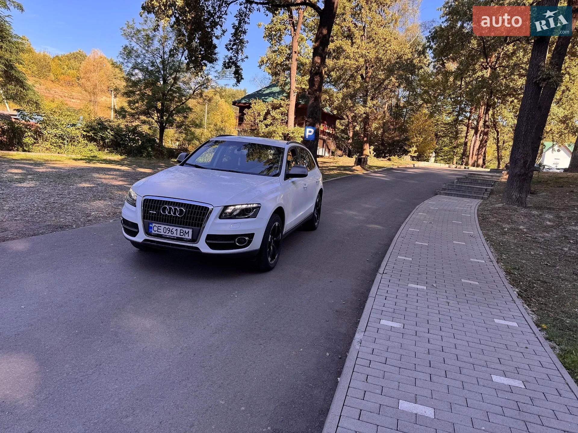 Audi Q5, 2010